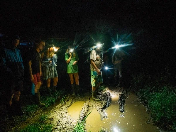 night hike.jpg