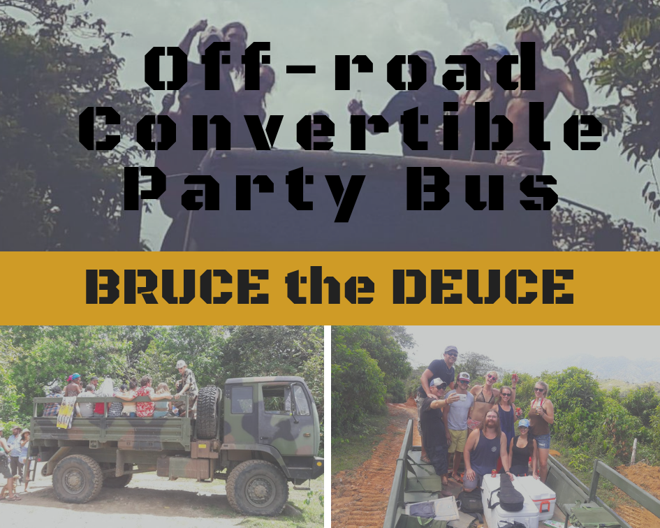 Copy of Brucey faded but awesome (2).png