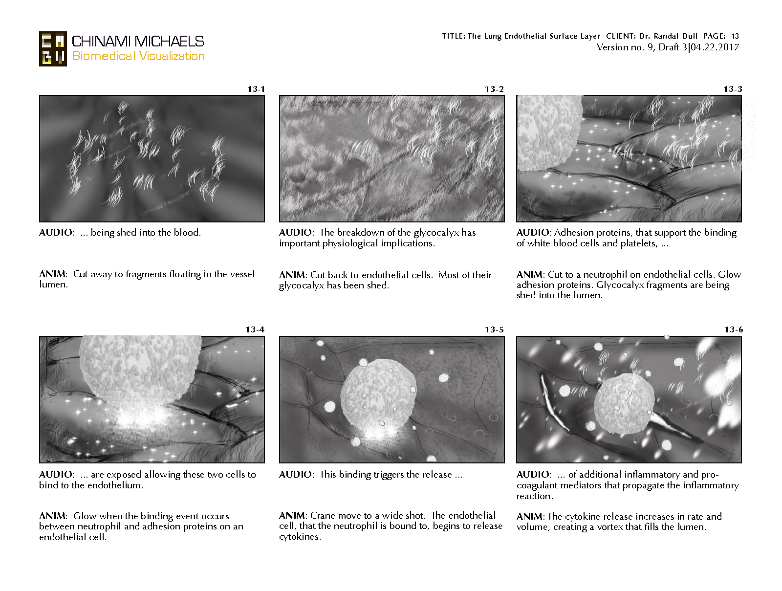 1704_Storyboard_04242017_InteractivePDF_Storyboard_Michaels_Page_13.png
