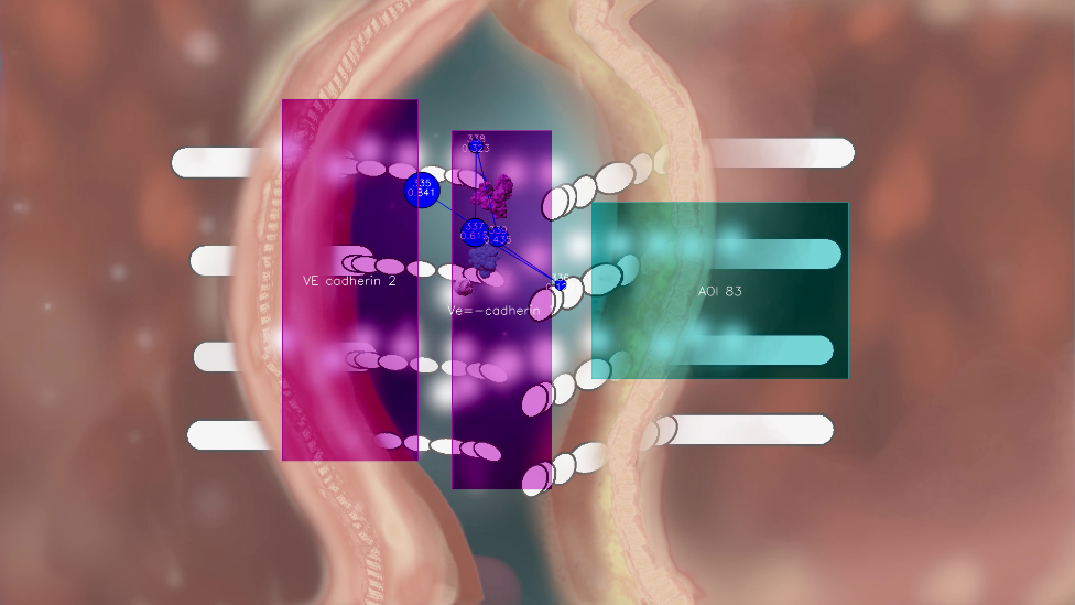 Eye-tracking data of an Researcher.