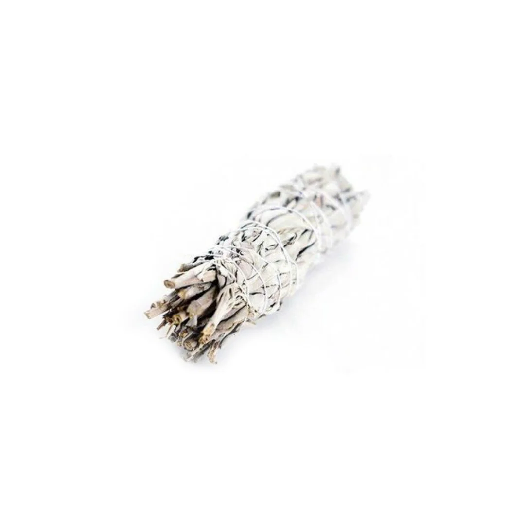 sage bundle.jpg