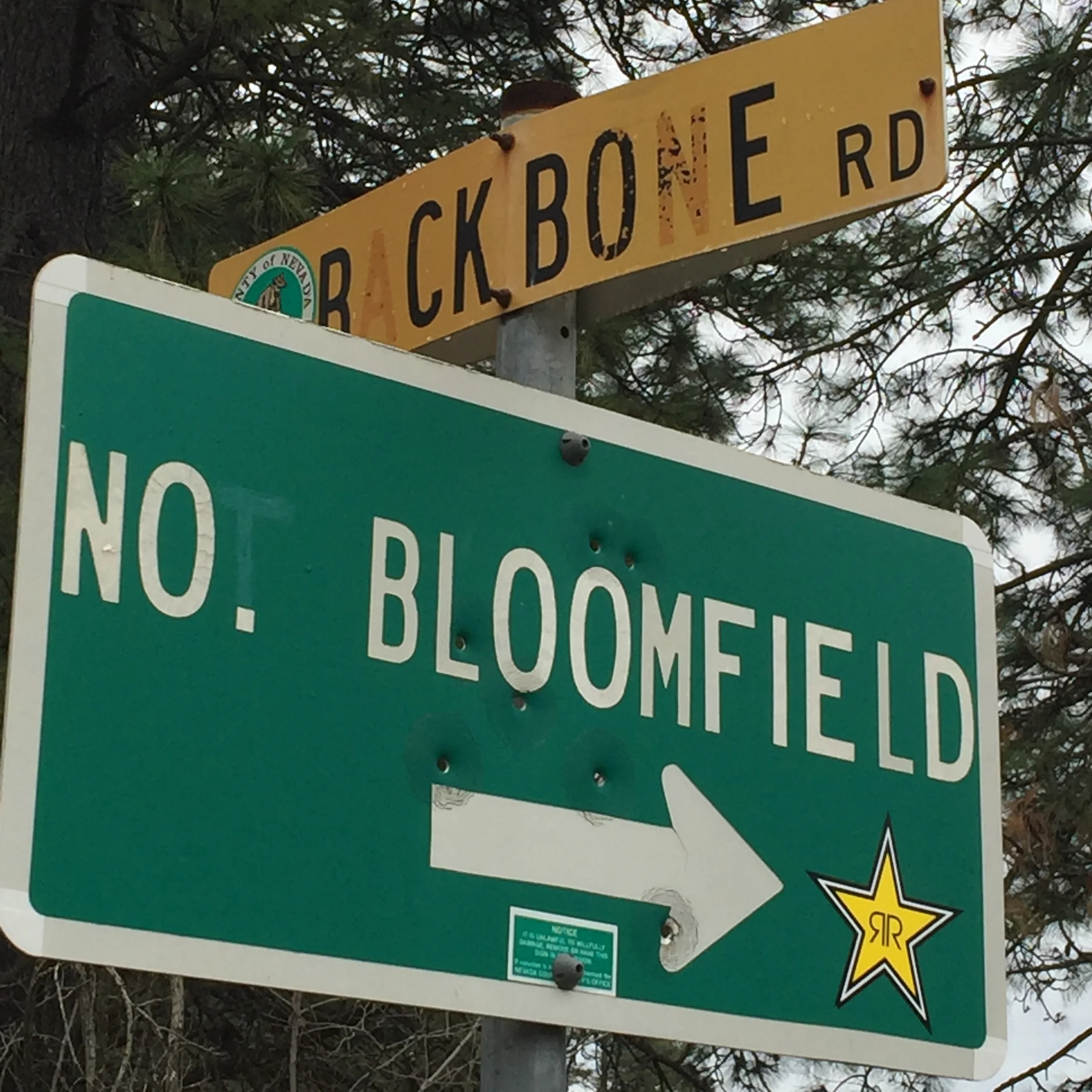 Backbone_NBloomfield_1.JPG