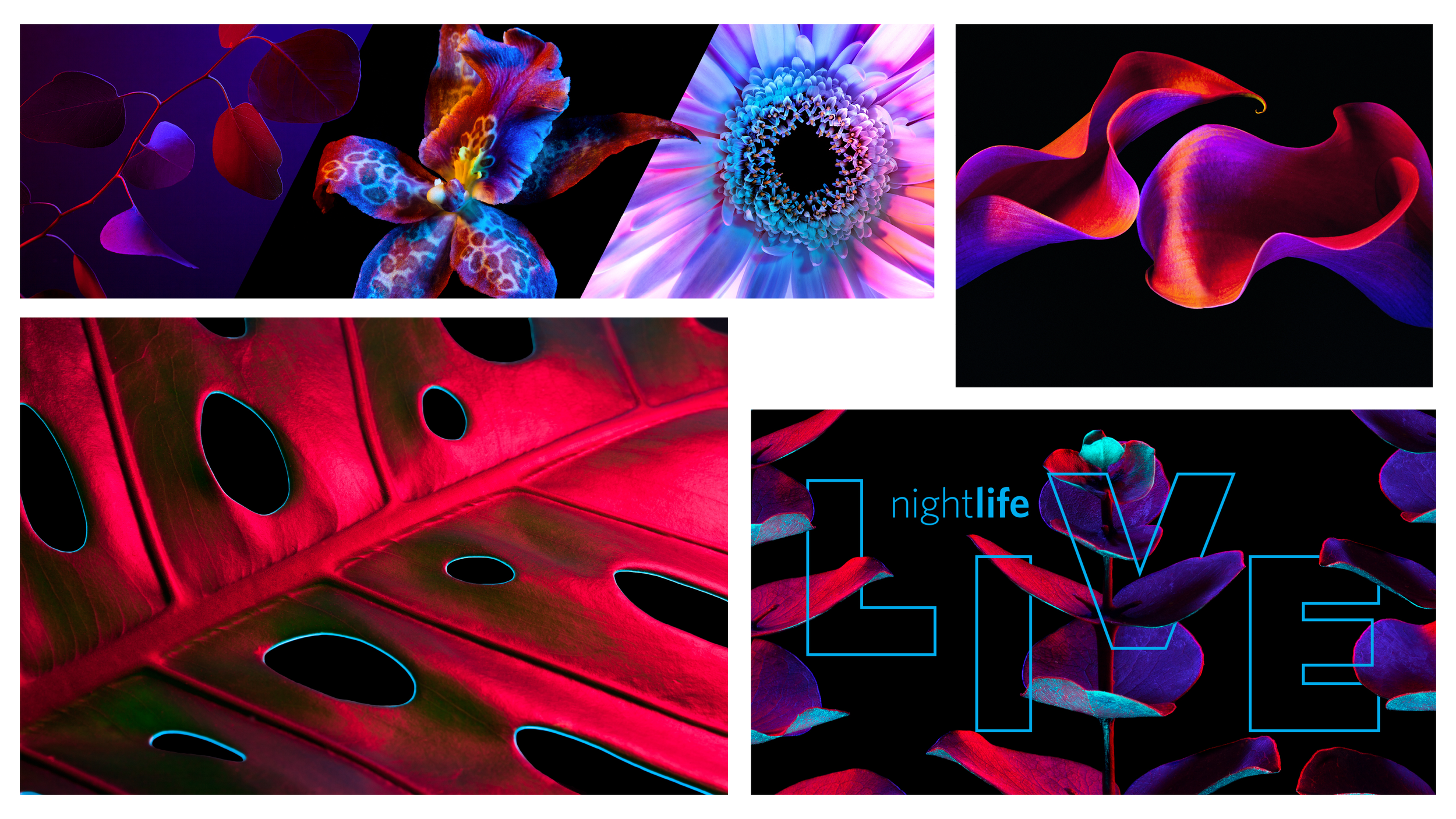 16-9_Website_NLL19.png