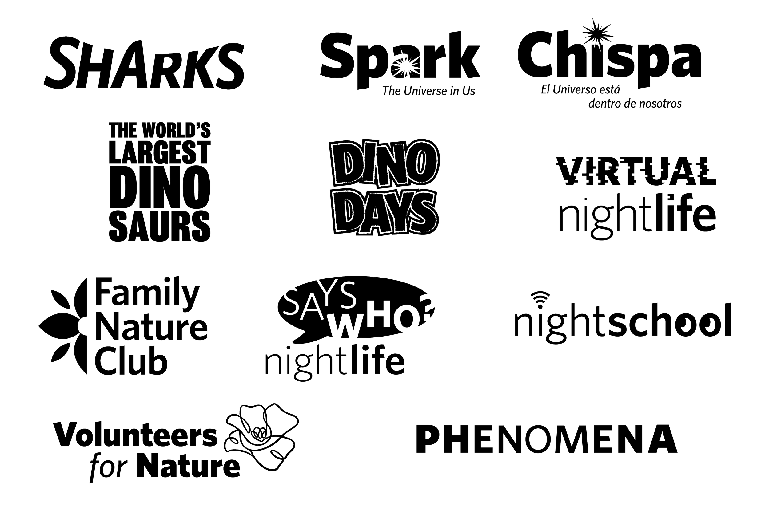 3-2_Website_CAS Wordmarks.png
