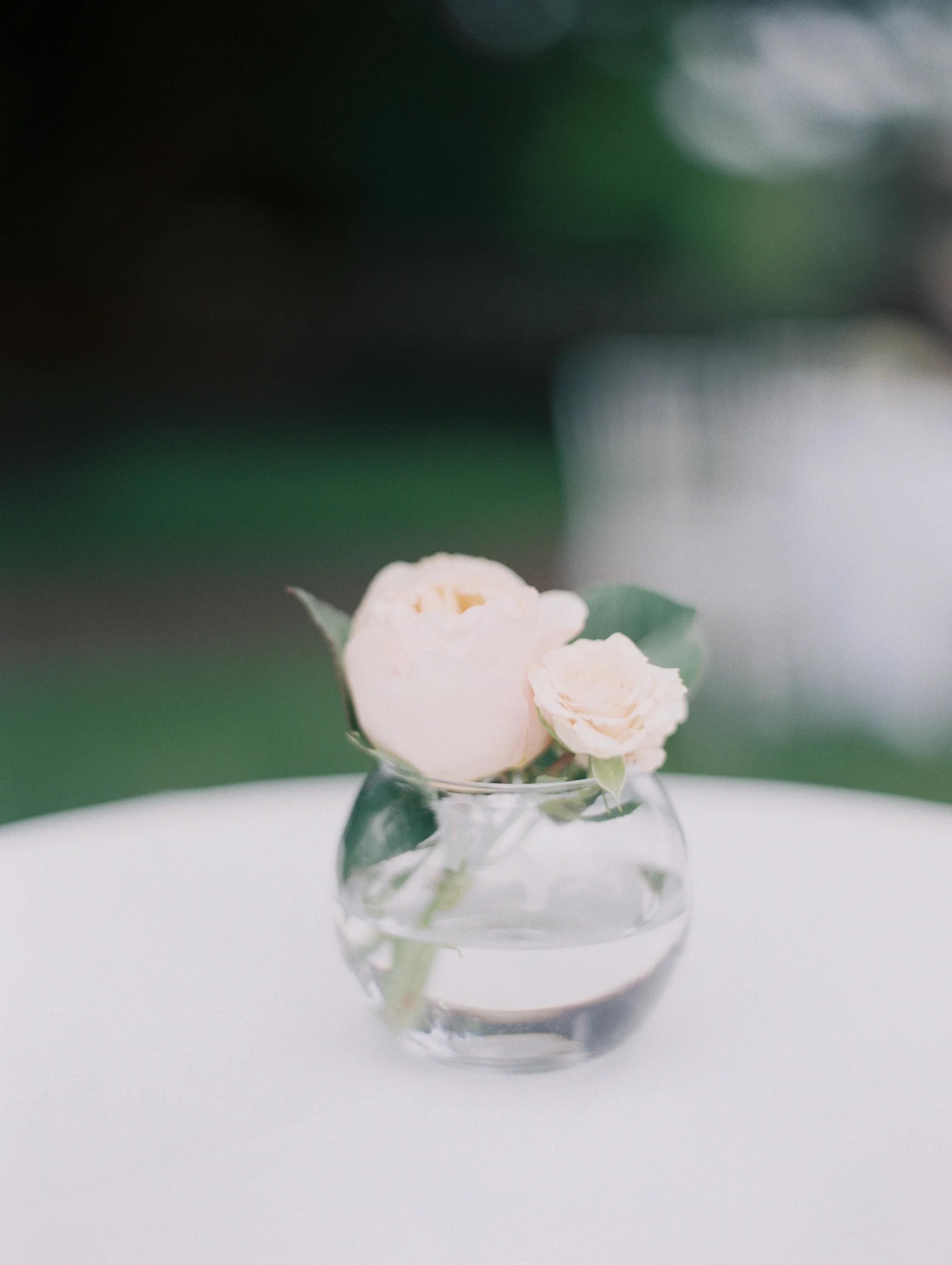 AlenaandAustinWeddingPhotos(527of769).jpg