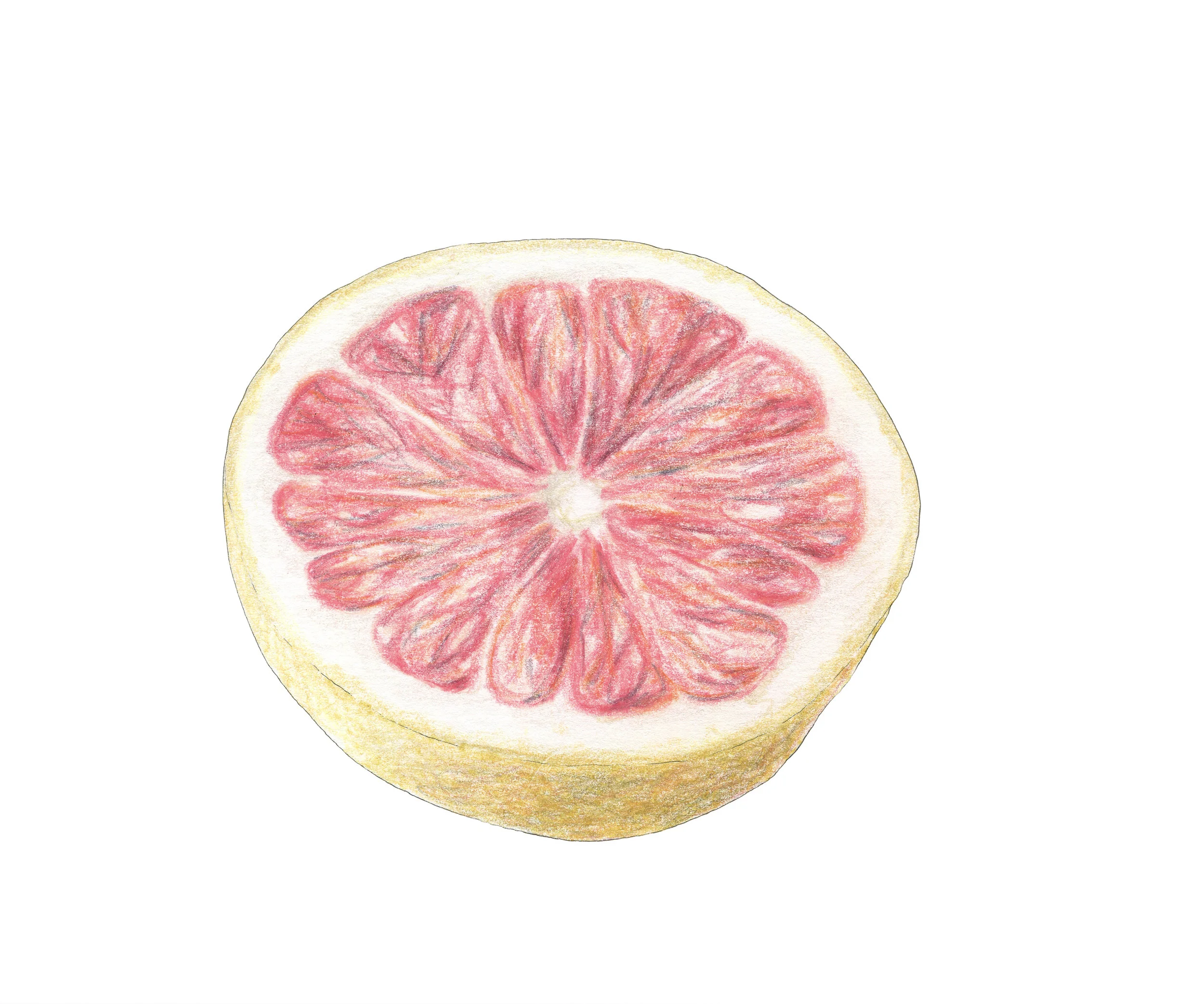 PAMPLEMOUSSE.jpg