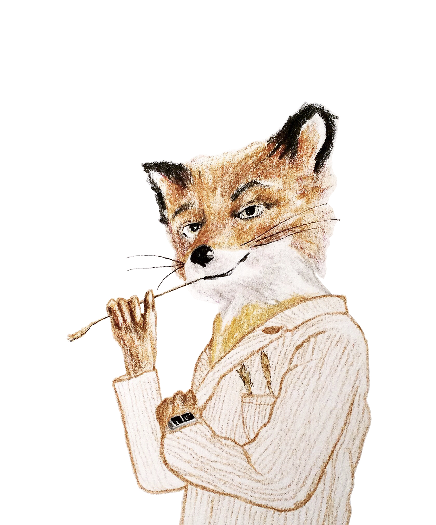 Fantastic Mr Fox (2017)