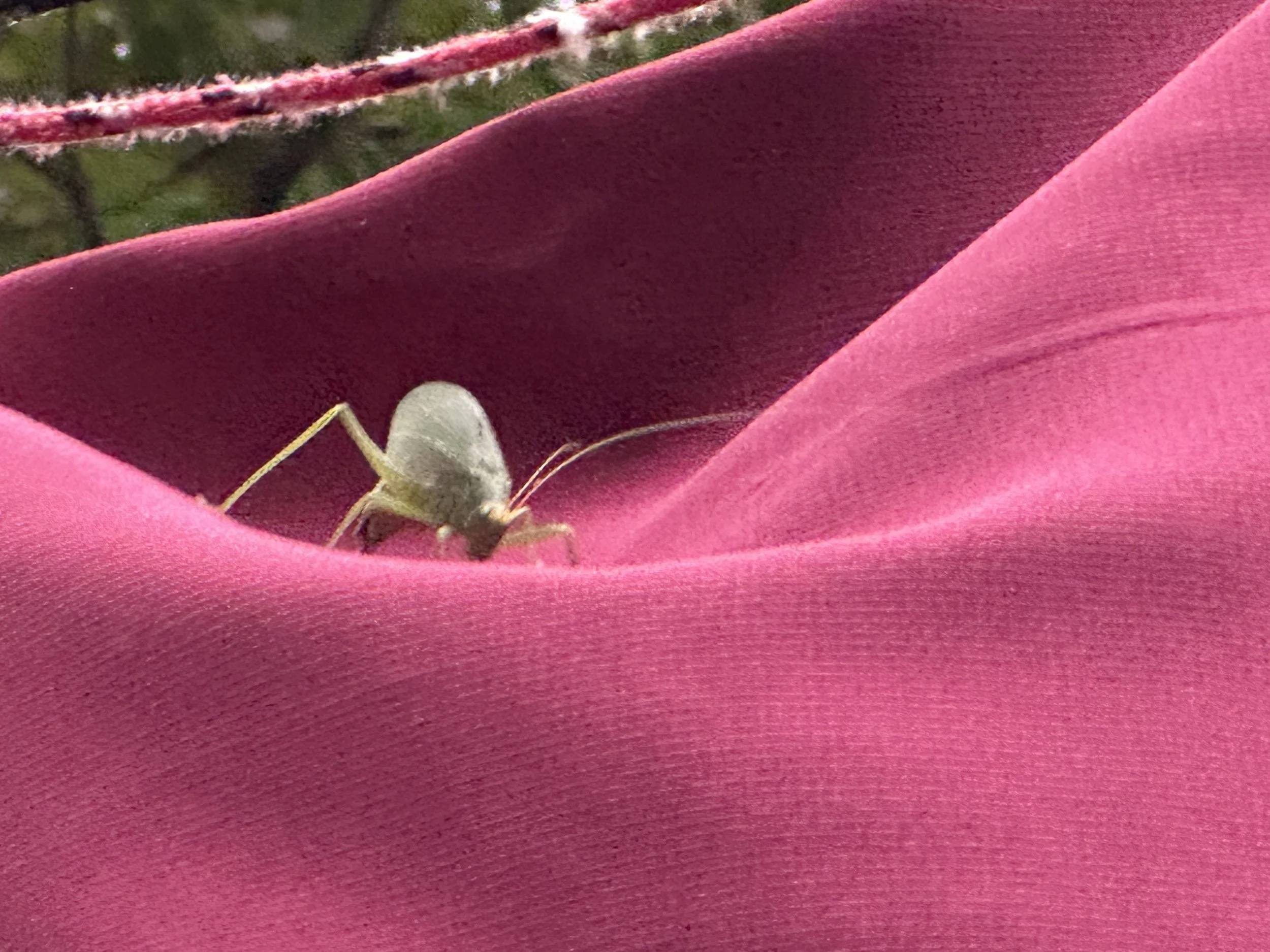 IMG_1021.jpeg