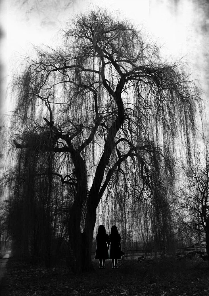 The Sisters of Ellery Hollow