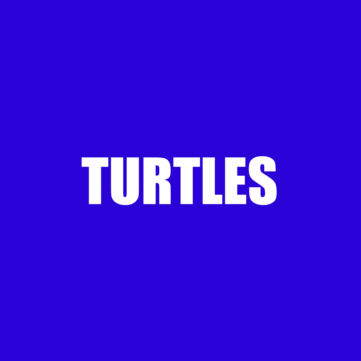 turtles.png