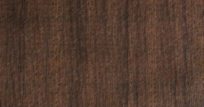 P-SX 10.3