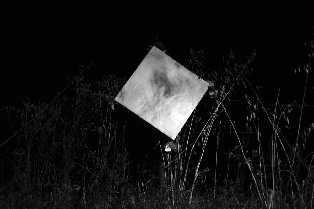 Visita Guiada — Presencial