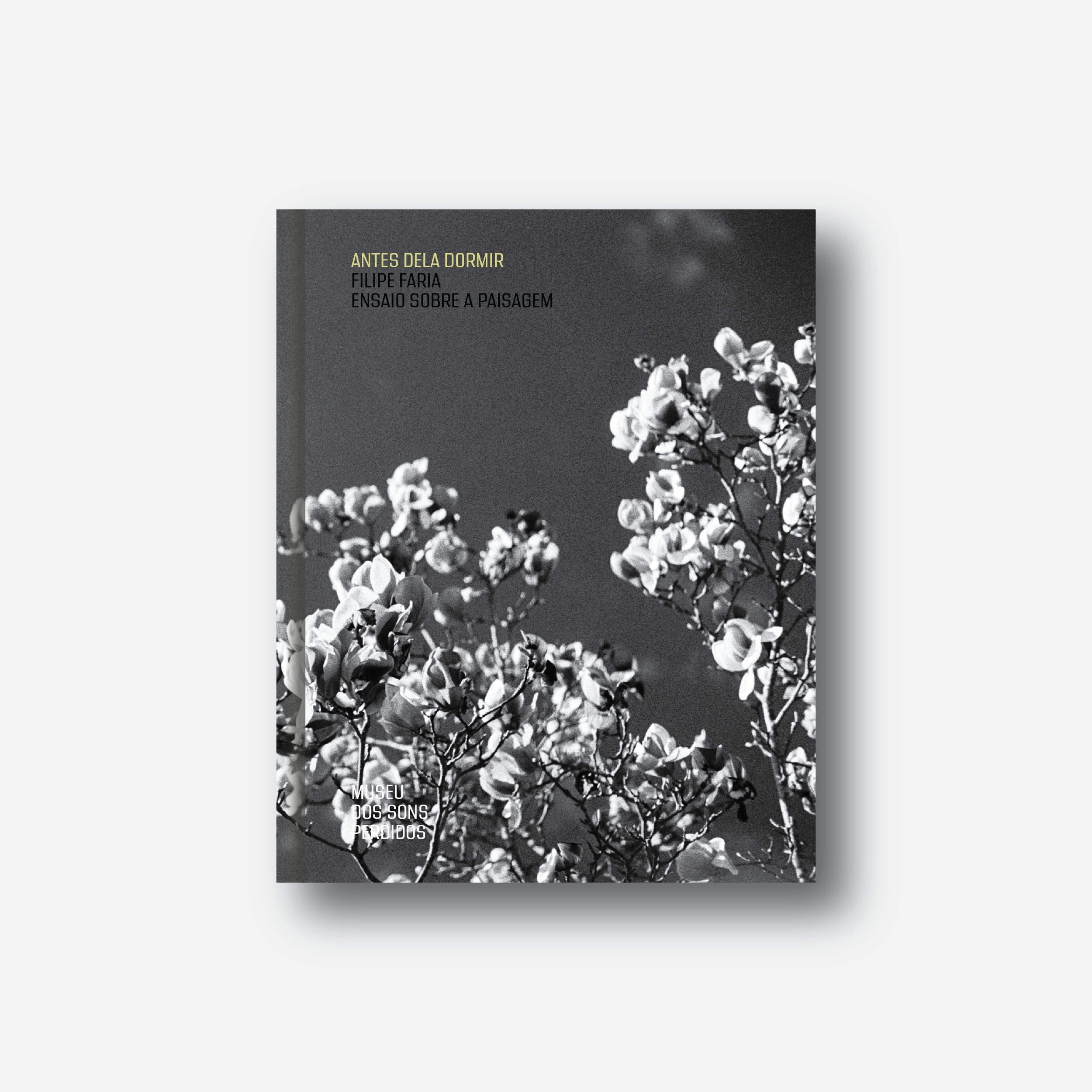 Capa Antes dela dormir