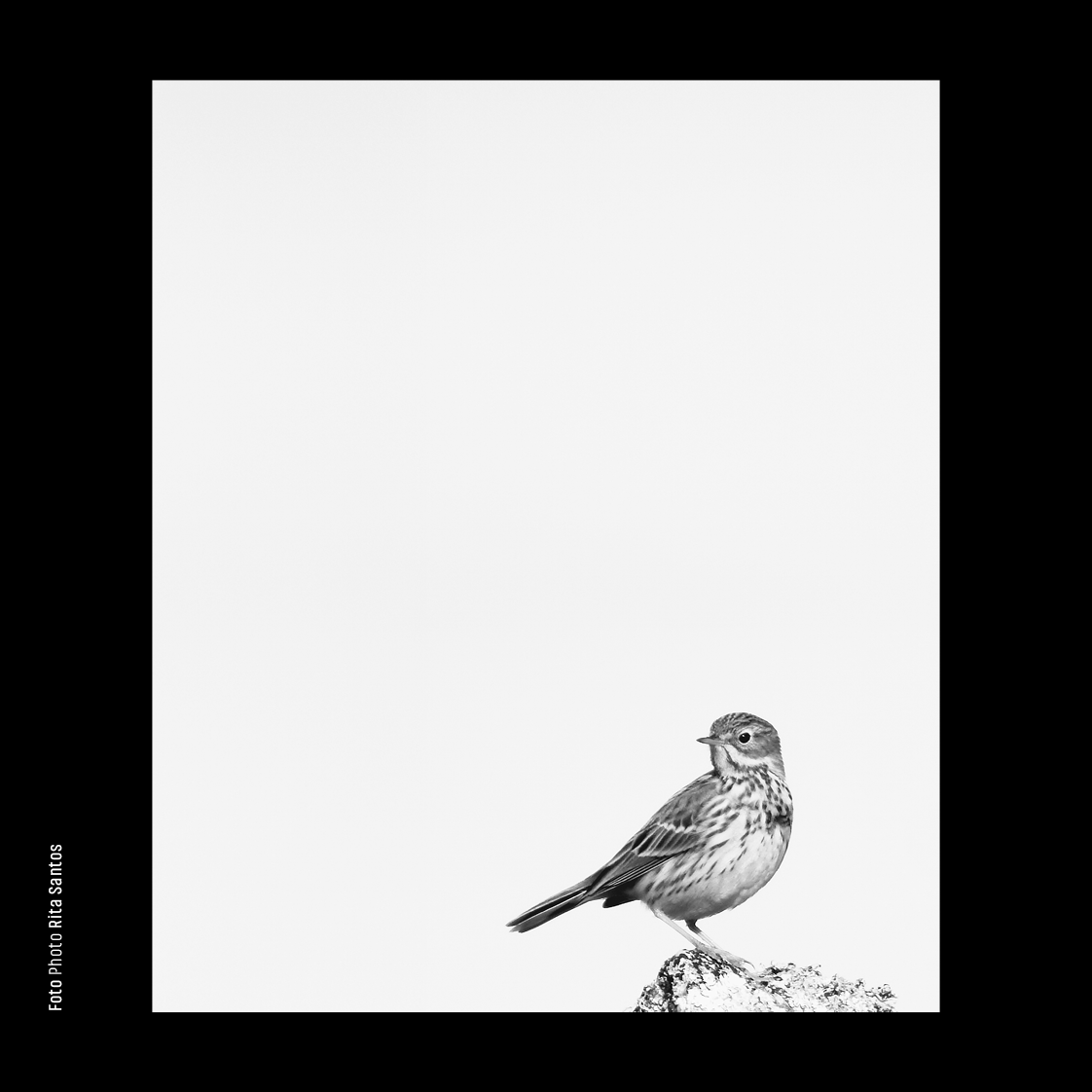 Fora do Lugar - 2025 - Design - IMPRESSOS (Catálogo) 133.png