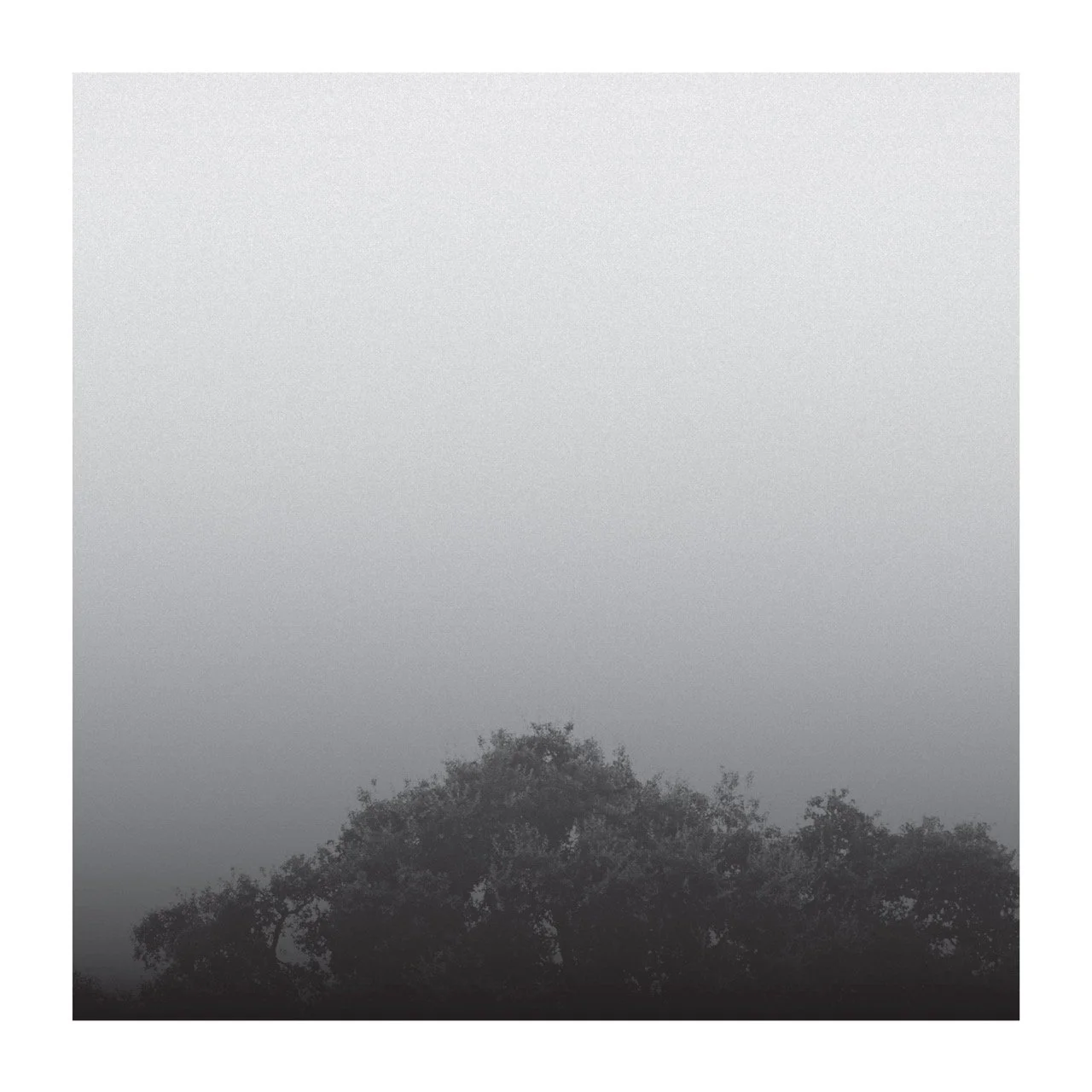 Capa Fora do Lugar 2013