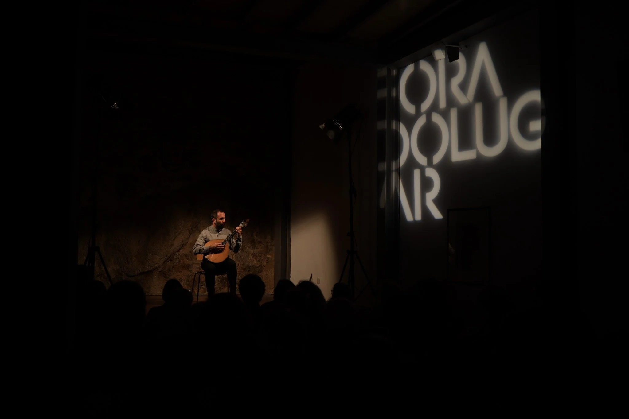 1 Concerto Miguel Amaral © Arte das Musas 2025.jpg