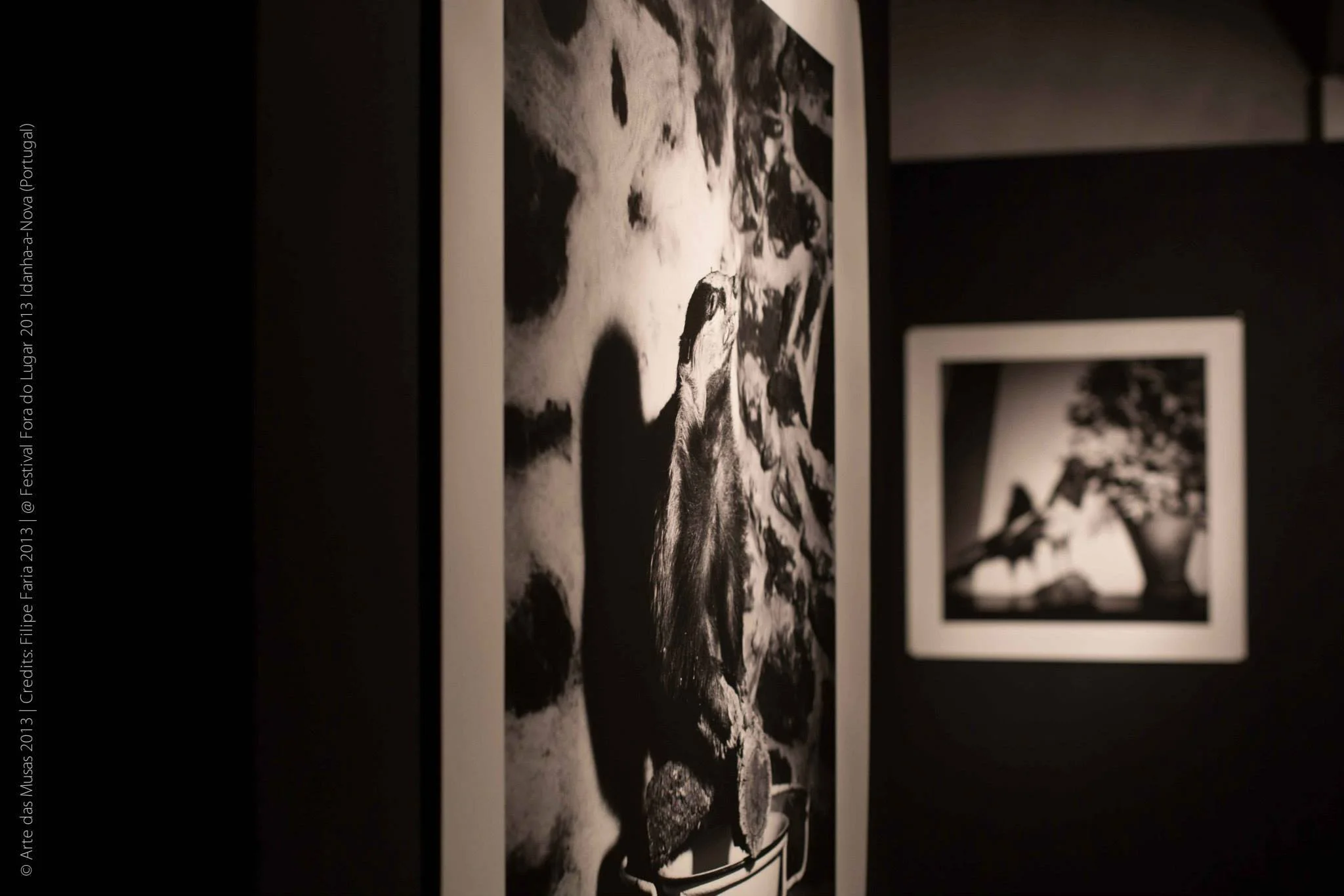 2 Fora do Lugar 2013 - 32 @ Arte das Musas 2013.jpg