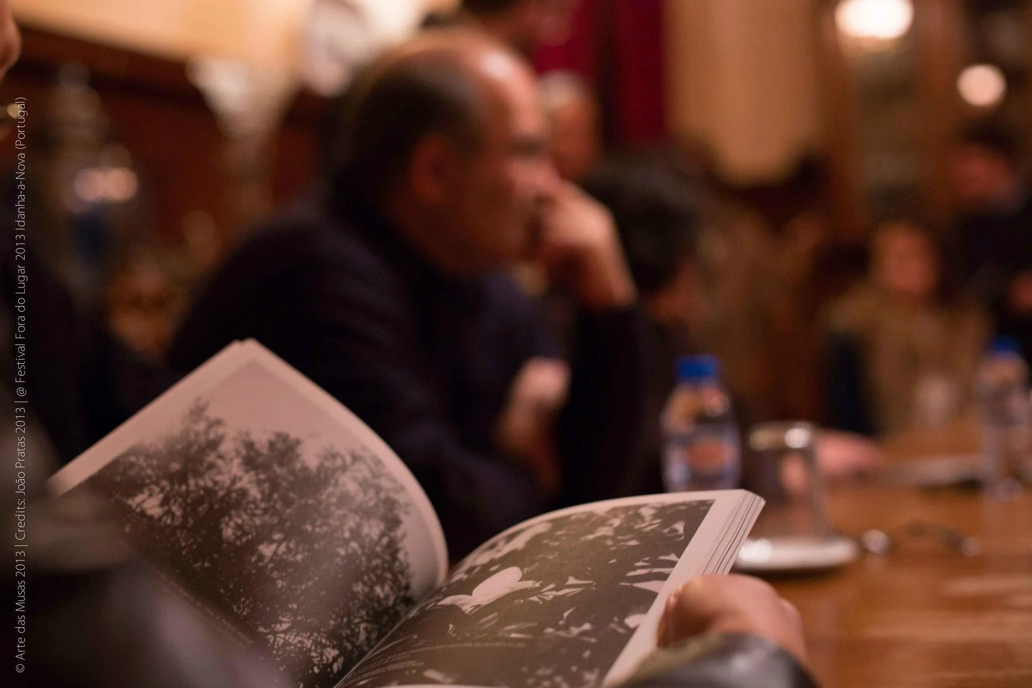 2 Fora do Lugar 2013 - 402 @ Arte das Musas 2013.jpg
