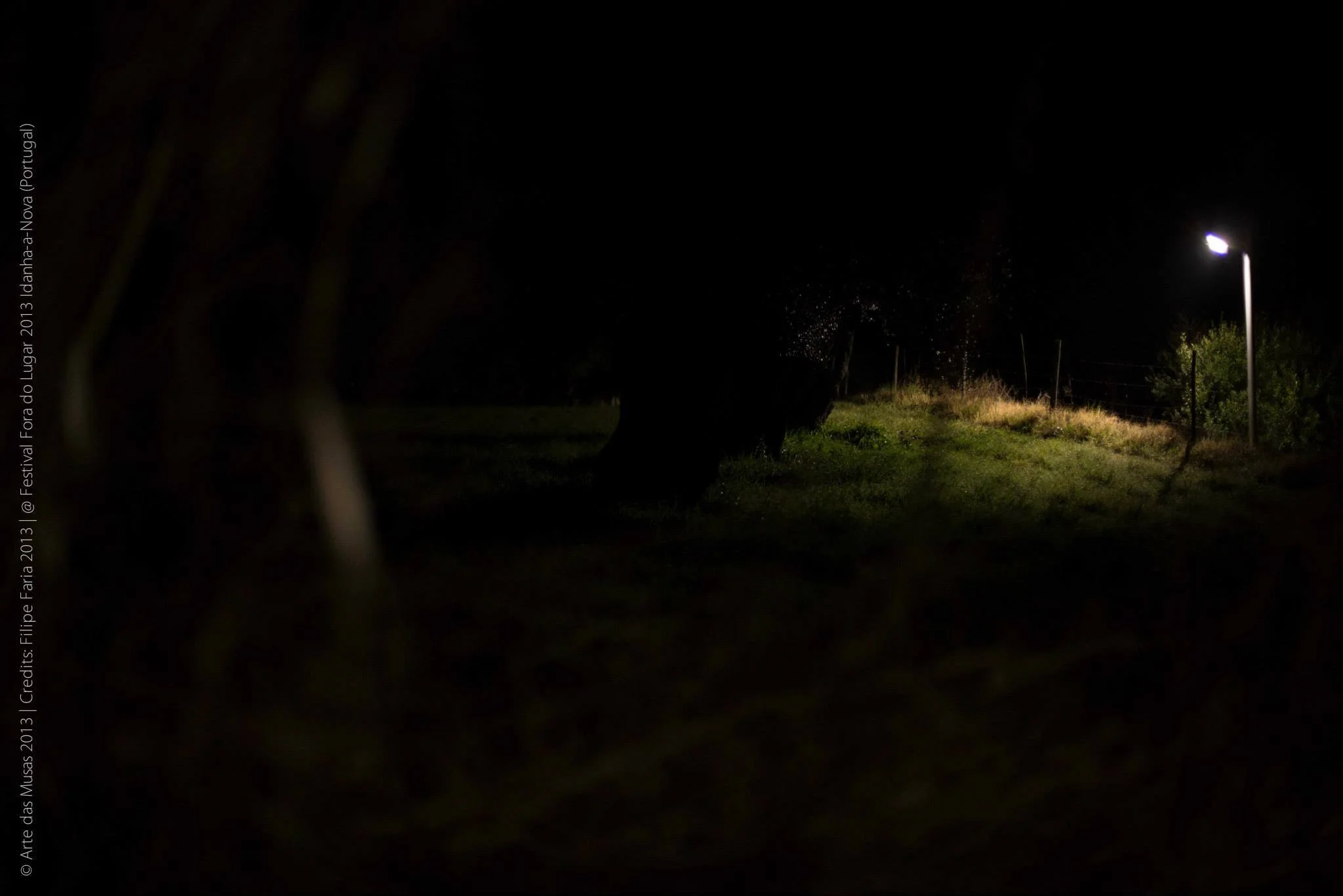 2 Fora do Lugar 2013 - 501 @ Arte das Musas 2013.jpg