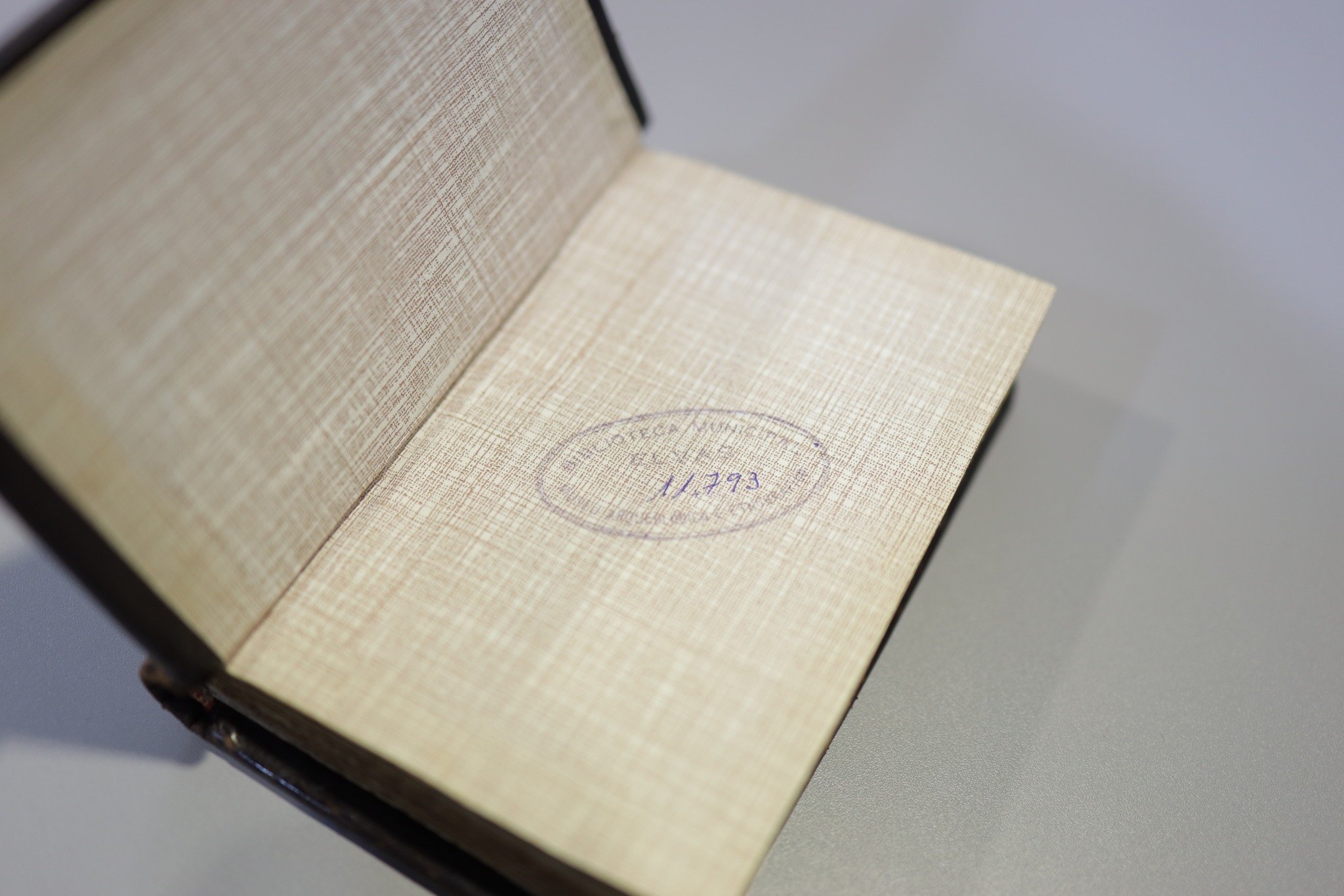 Sete Lágrimas - Elvas 20260305 -341A8581 © Arte das Musas 2026.jpg