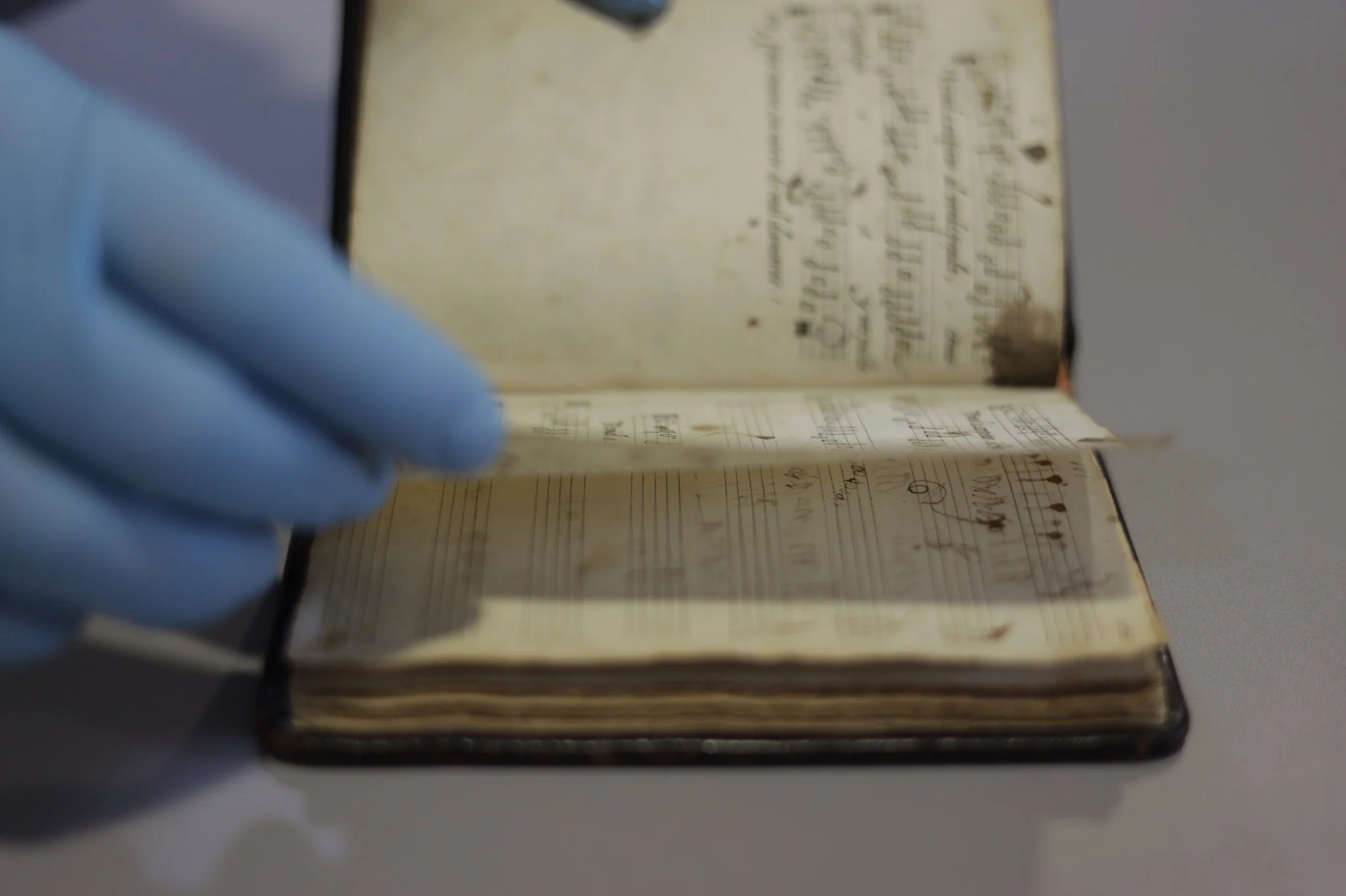 Sete Lágrimas - Elvas 20260305 -341A8563 © Arte das Musas 2026.jpg