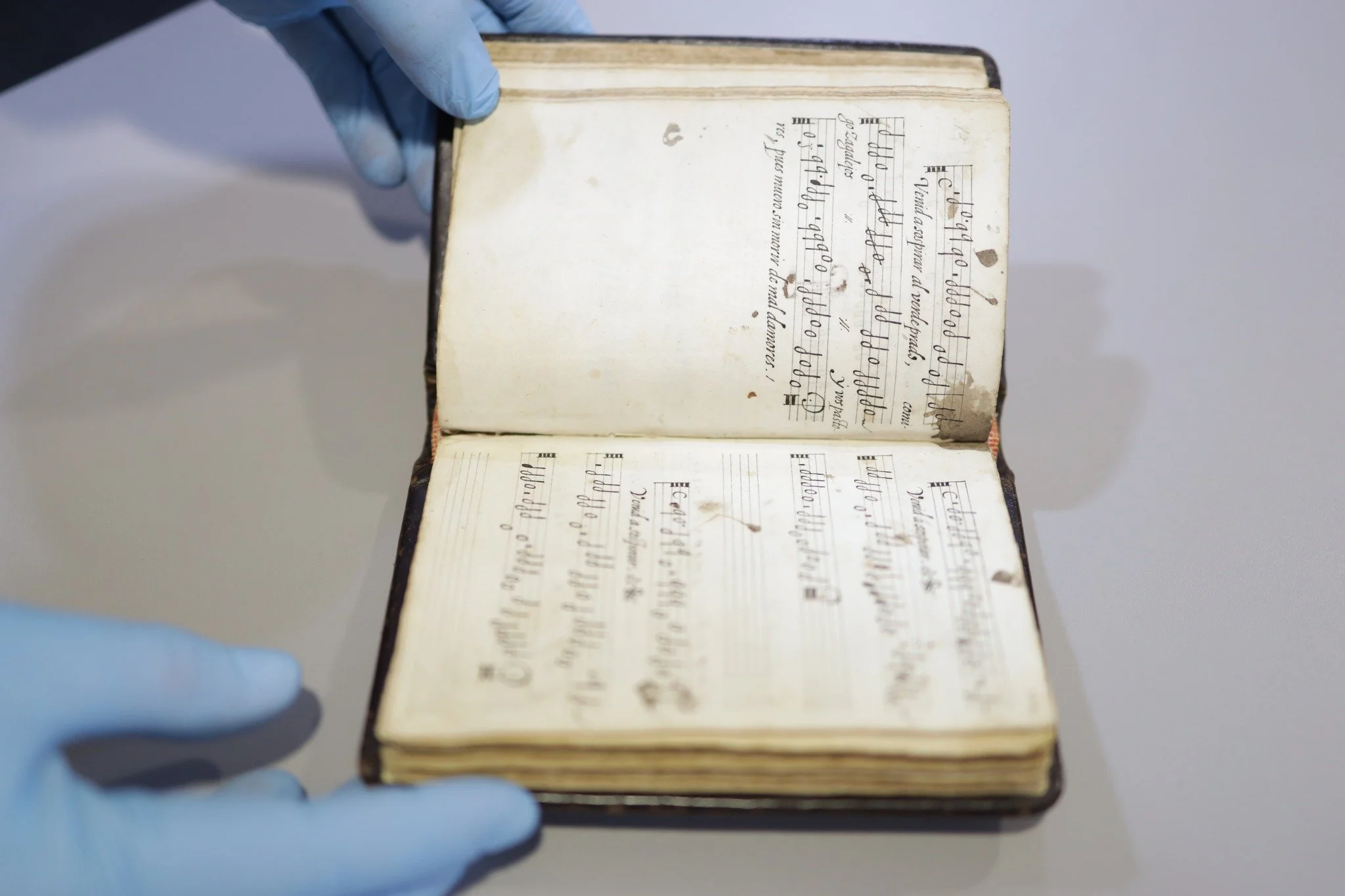 Sete Lágrimas - Elvas 20260305 -341A8574 © Arte das Musas 2026.jpg