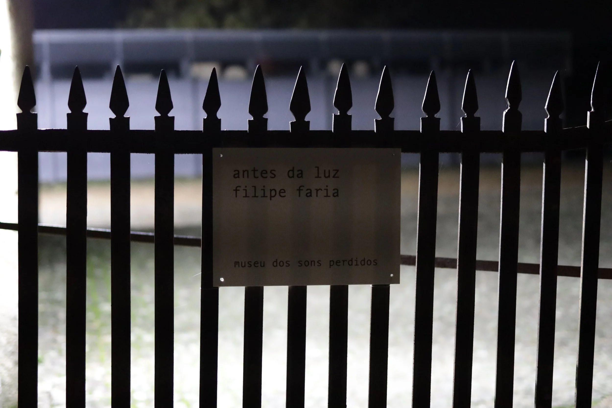 Antes da luz (Filipe Faria) 066A7299 © Arte das Musas 2025.jpg