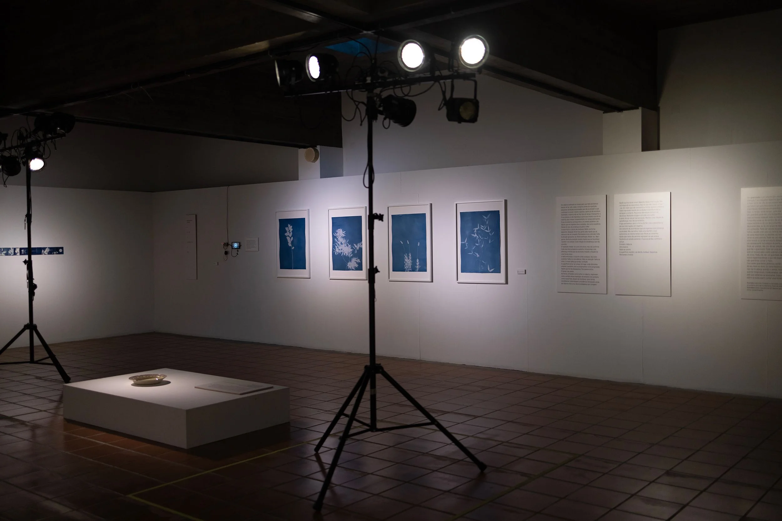 Guardados 004 - © Filipe Faria 2026 341A1466.jpg