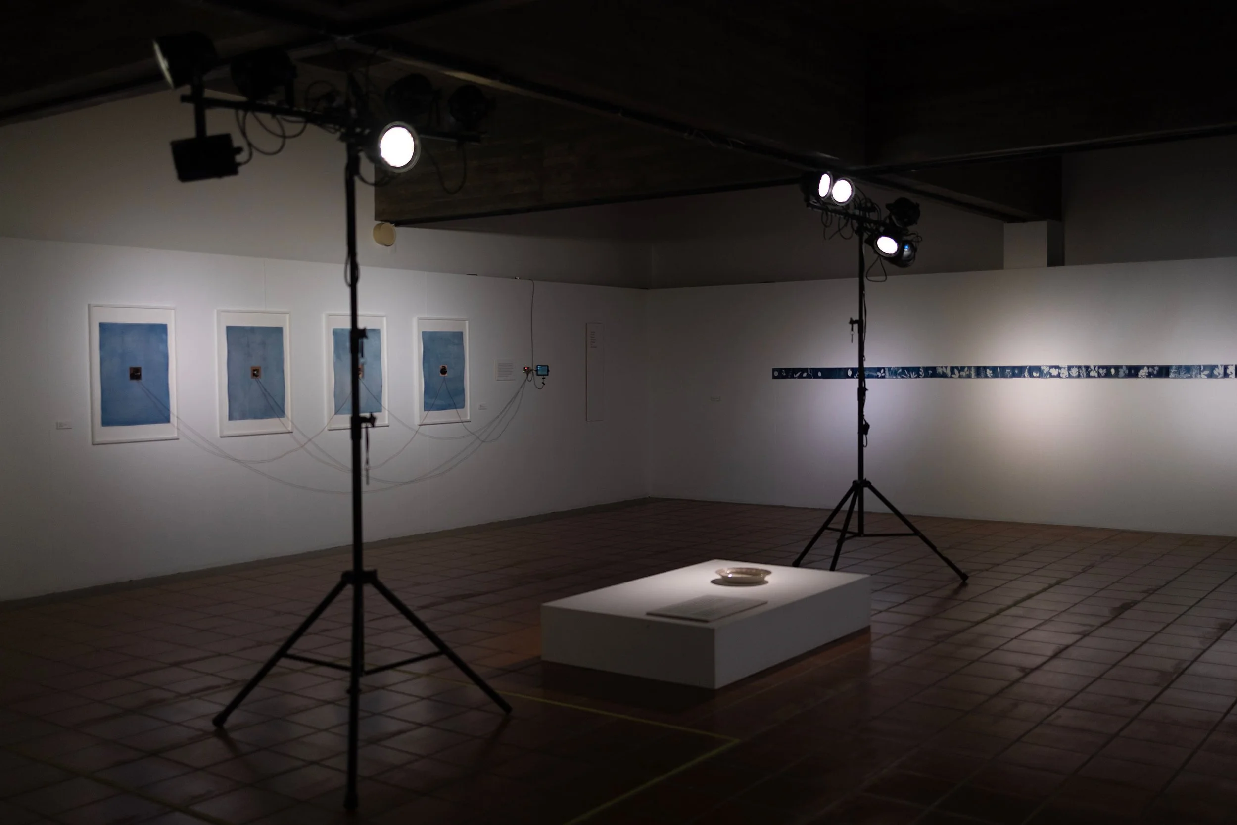 Guardados 004 - © Filipe Faria 2026 341A1489.jpg