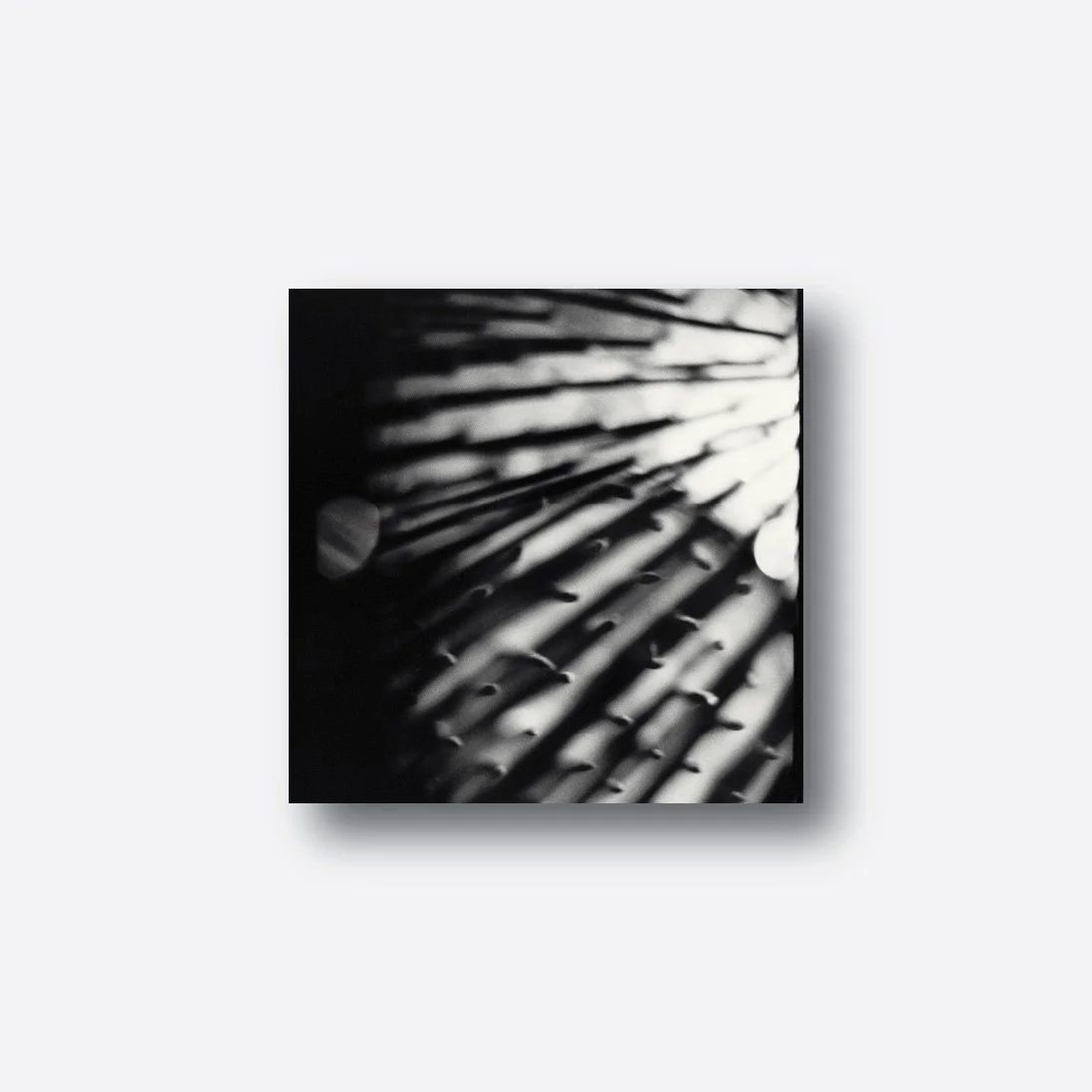 Guardados 002 Digital Album