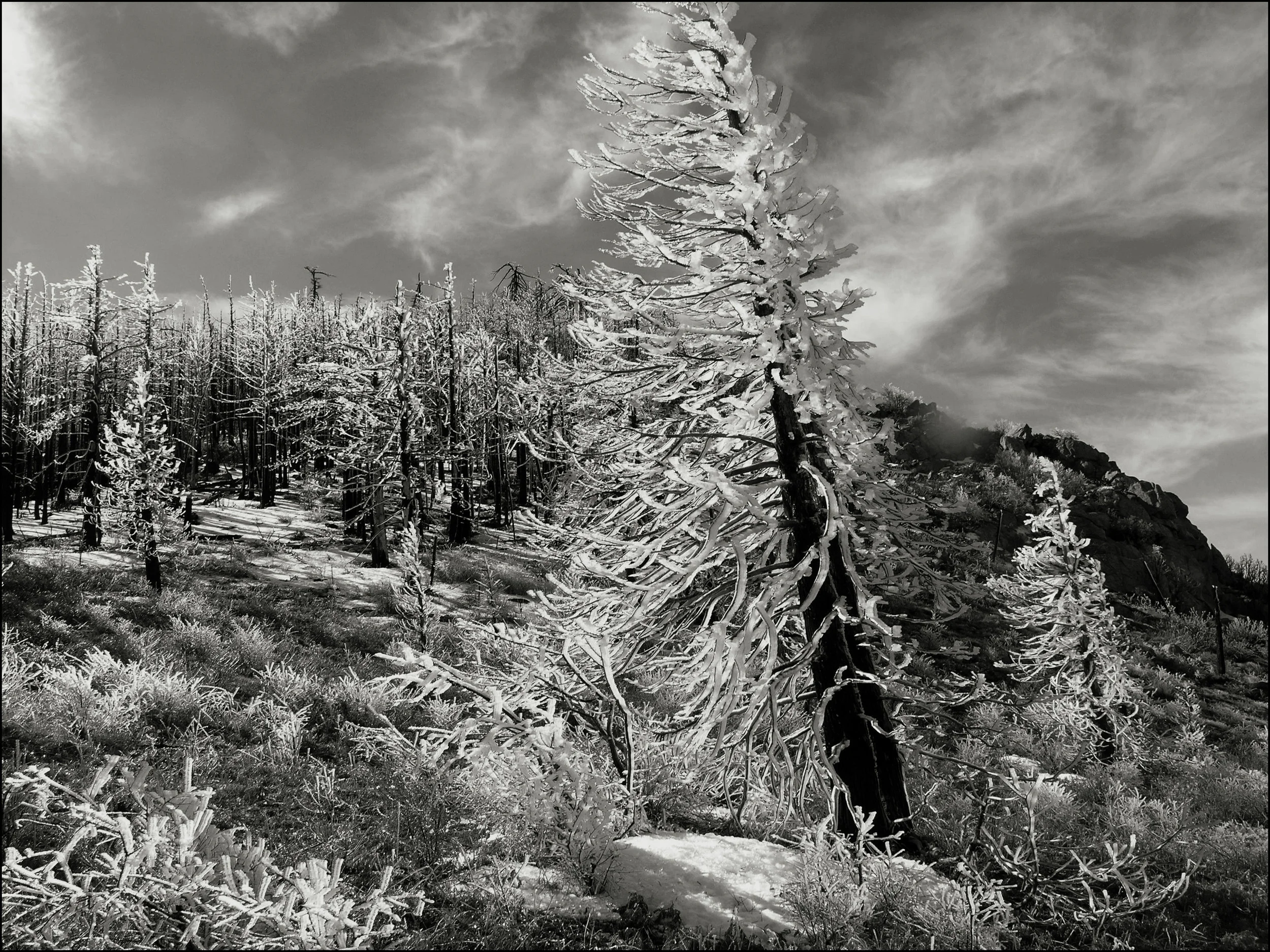 Snow on Cuyamaca