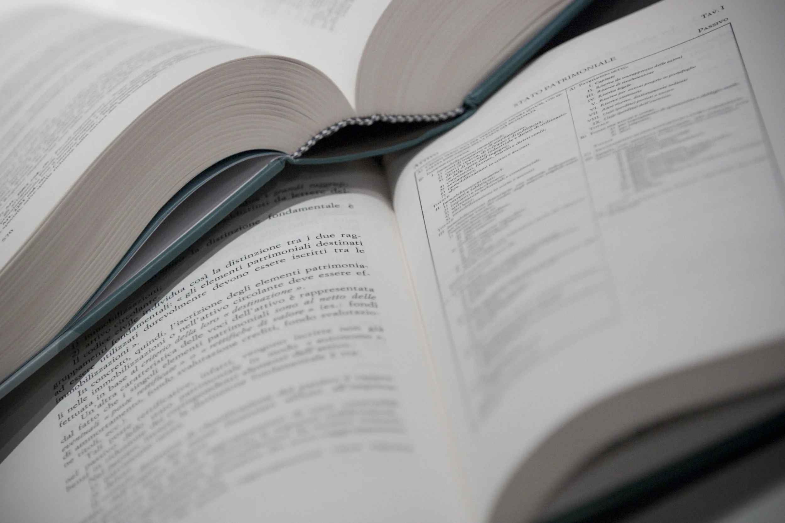 Italian_legal_hardback_books_open.jpg