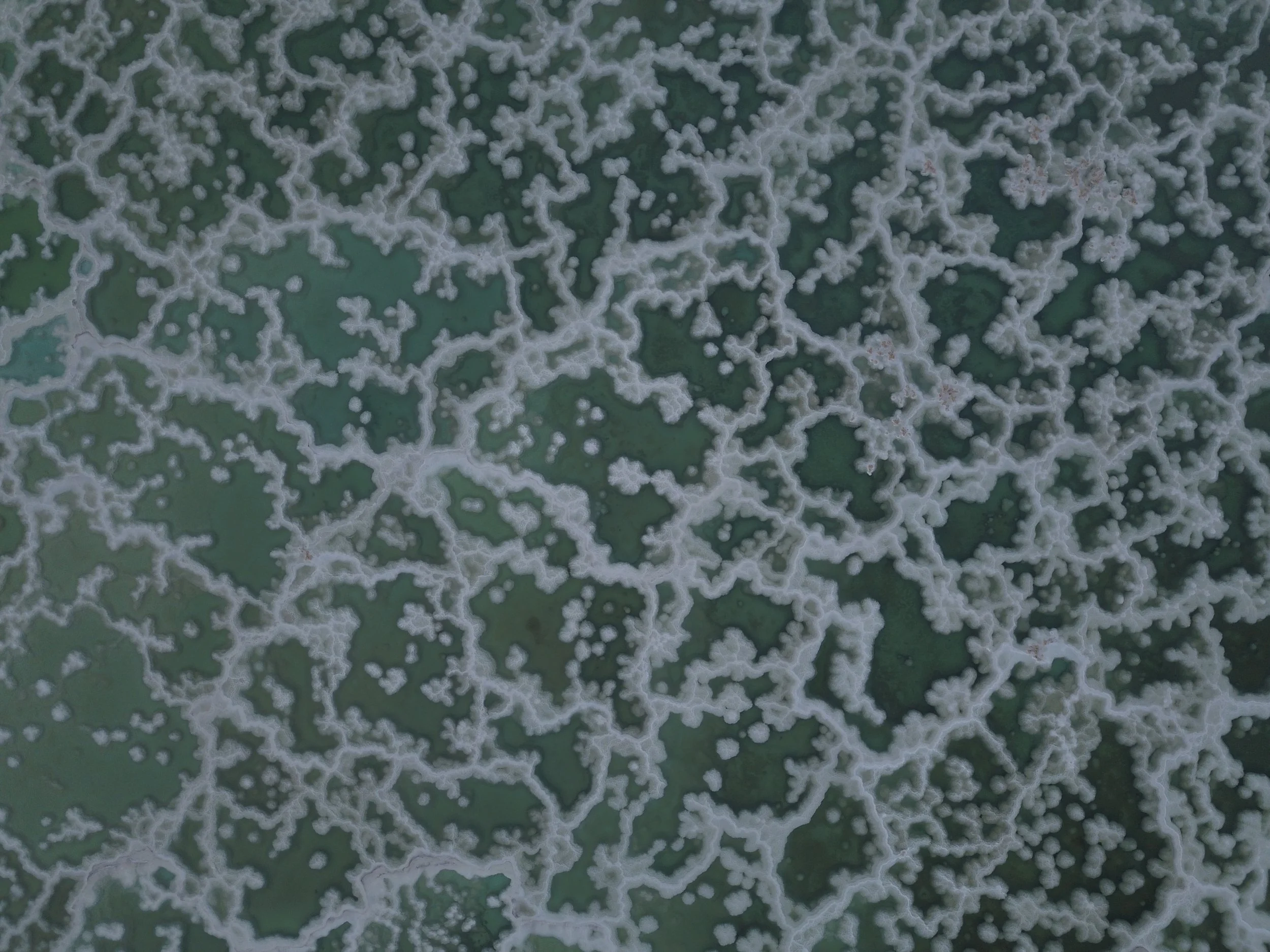 DJI_0393.JPG