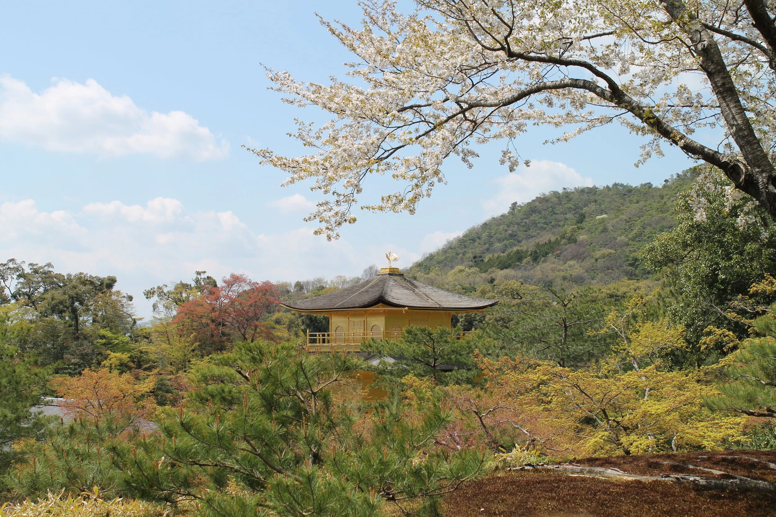kinkaku-ji kyoto.jpg