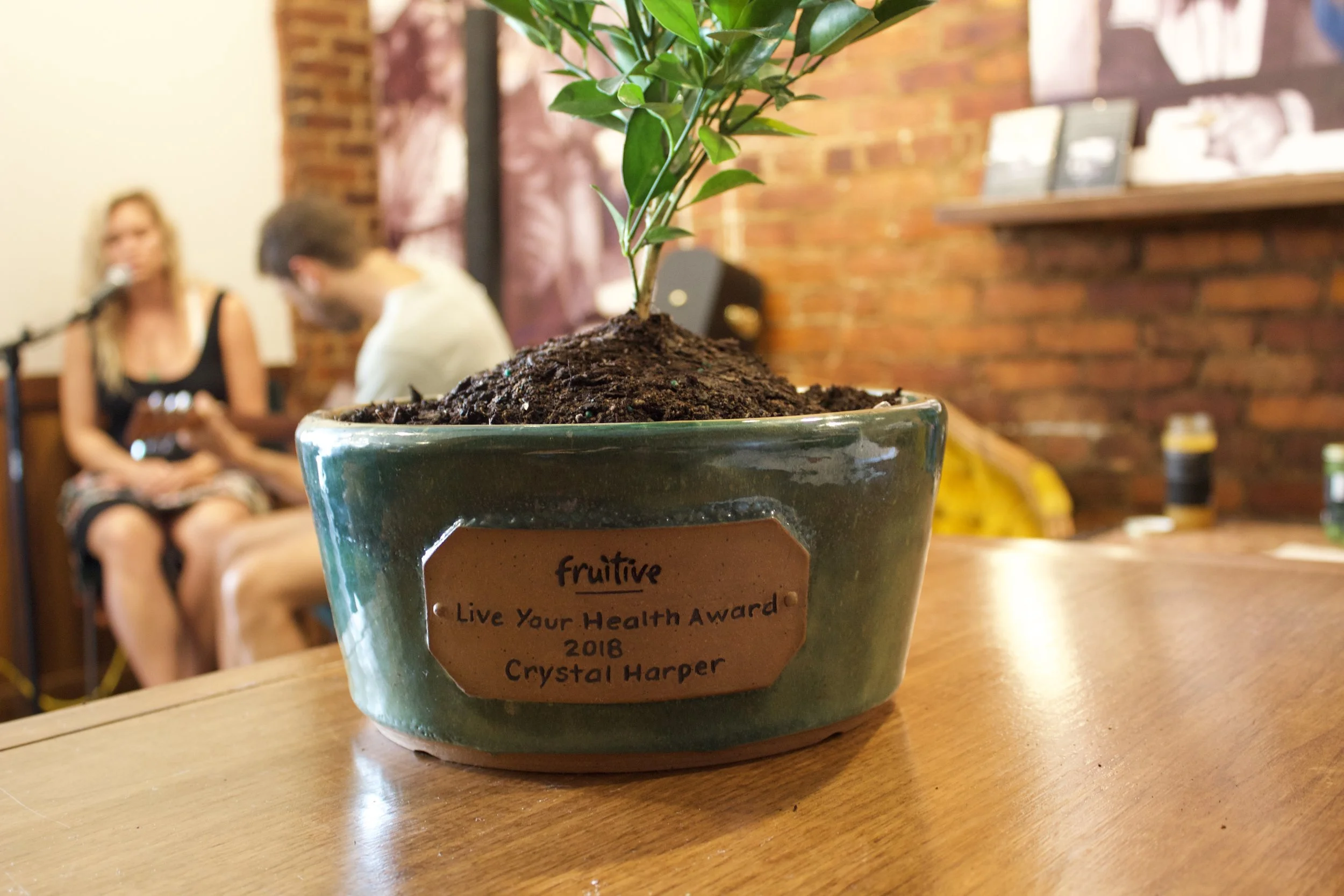 Local custom-made pot by William Kemp