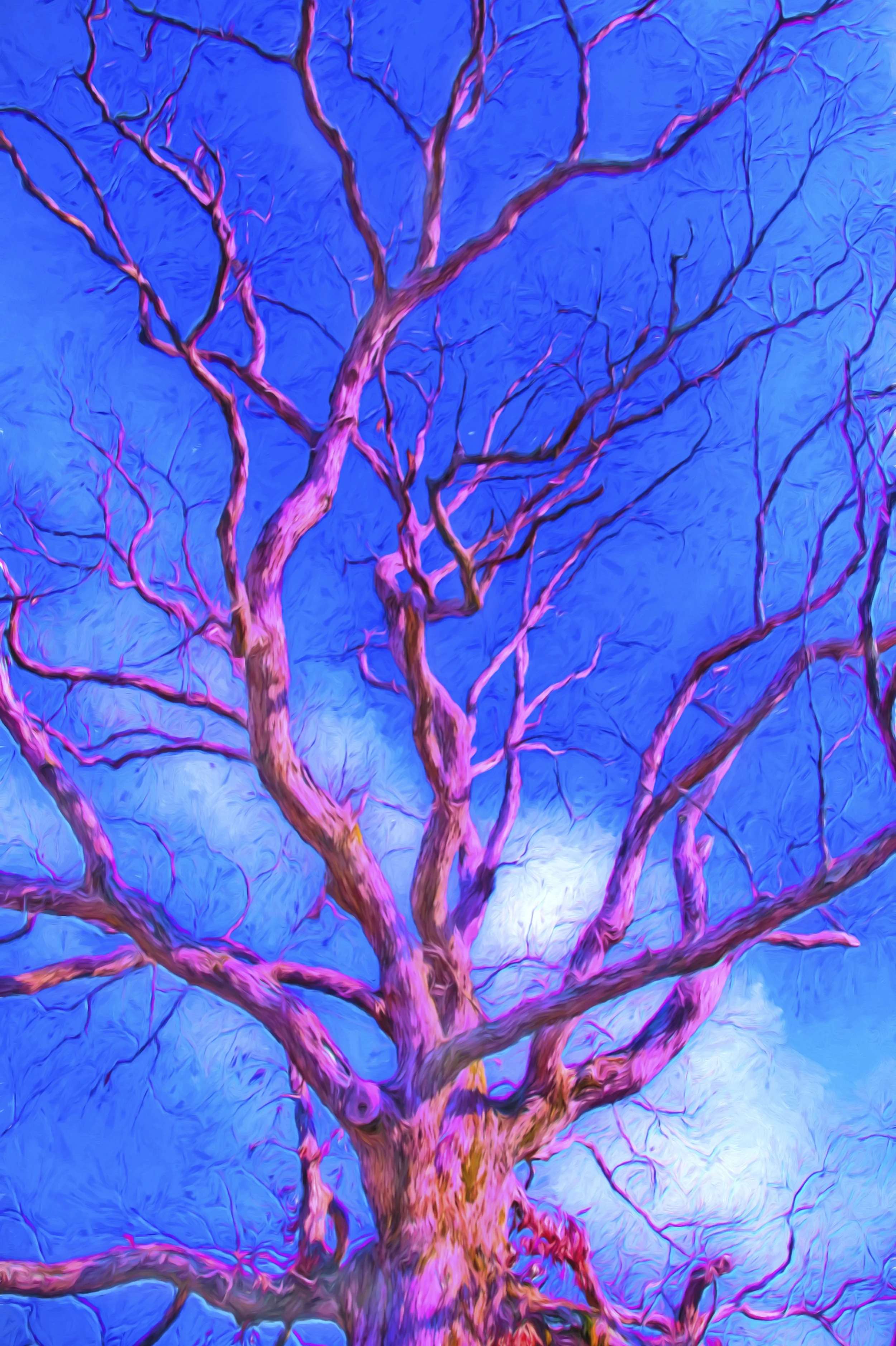 17TenneseeTrees.jpg
