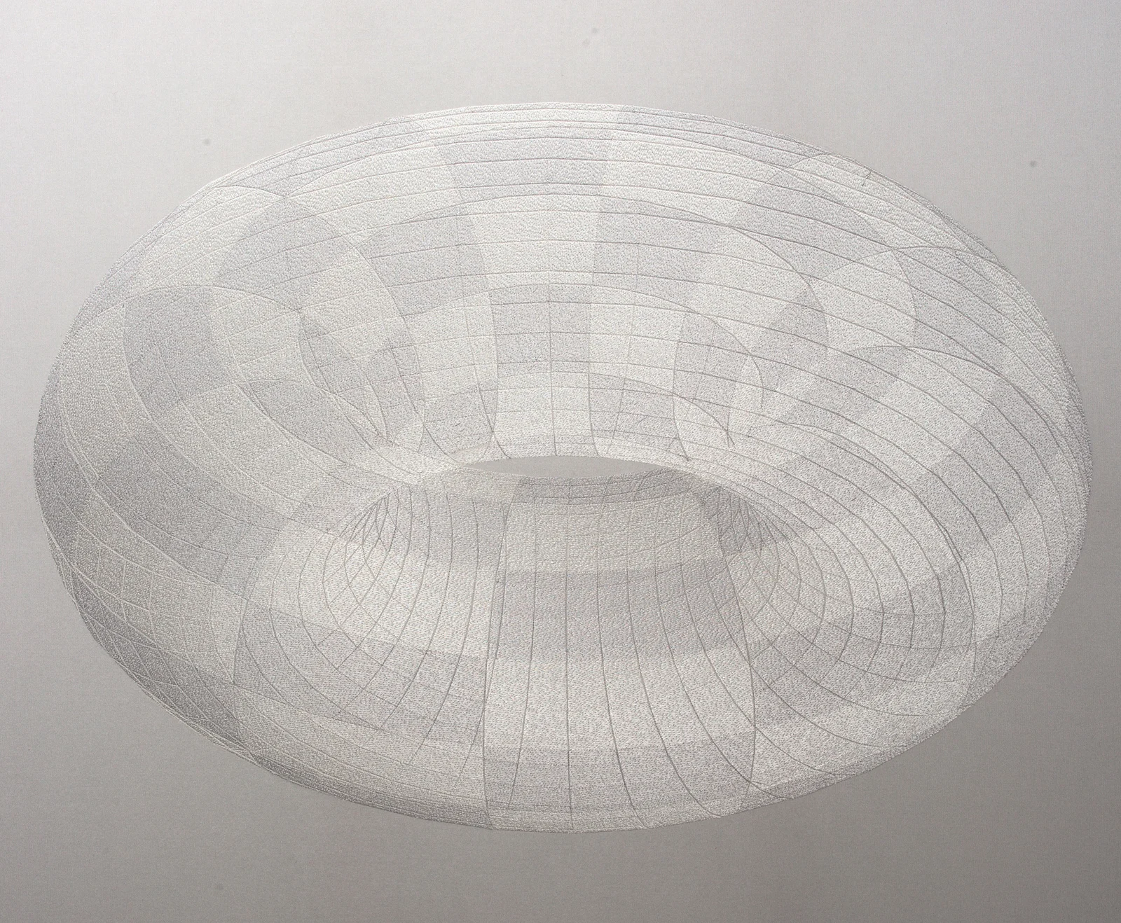 Torus _Macklin_center.jpg