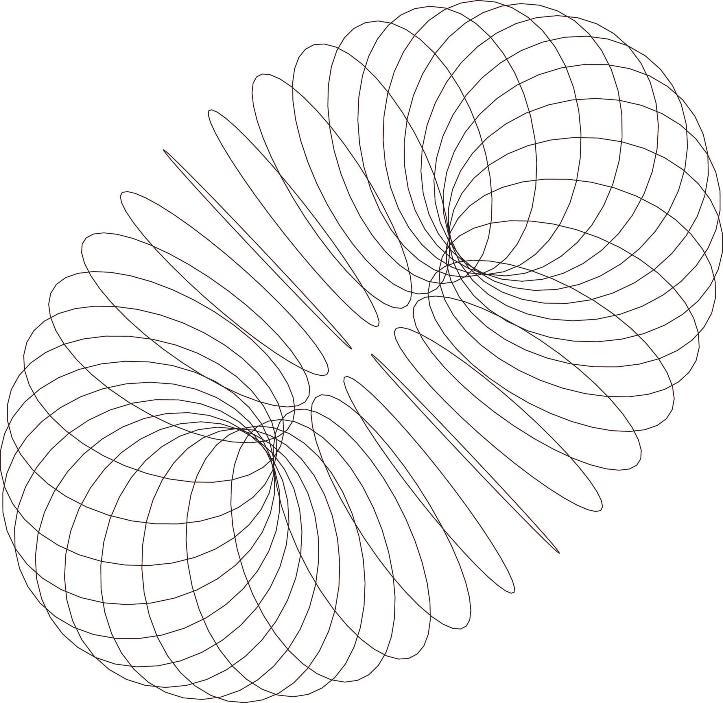 POST MIAMI_Torus _ALL INFO rings.jpg