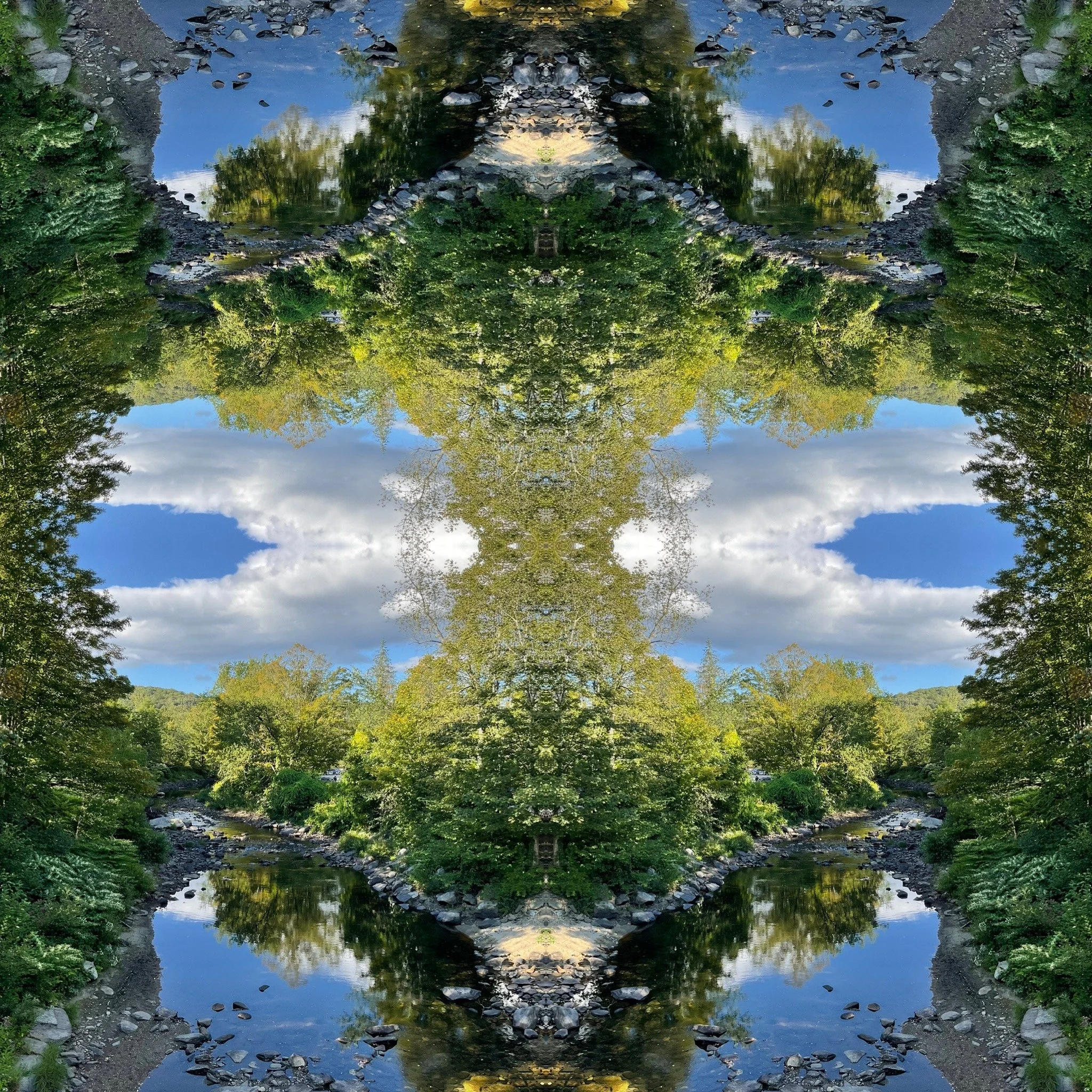 vermont skywalker.JPG