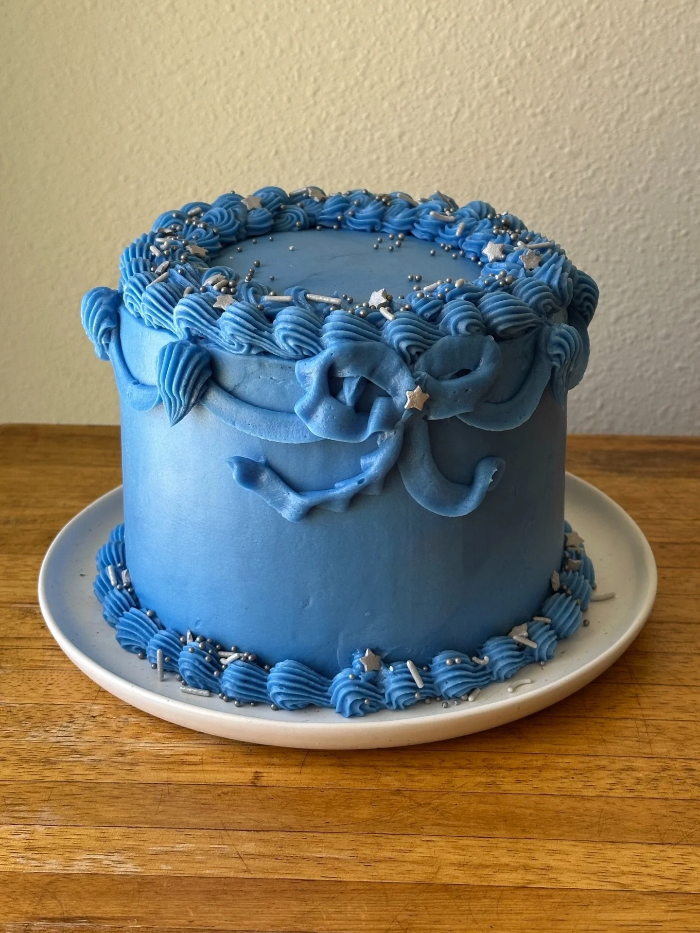 leap day birthday cake for @sautee_bae! happy 9 1/2 birthday buddy 😜 2 more years til you&rsquo;re officially 10! 💙