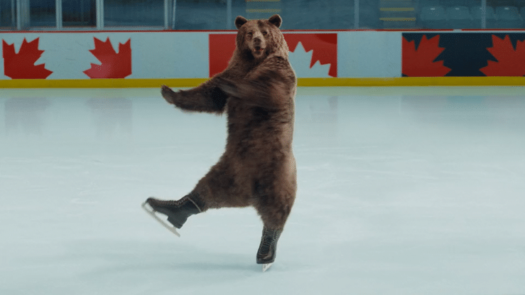 No Time to Hibernate-high (2).gif