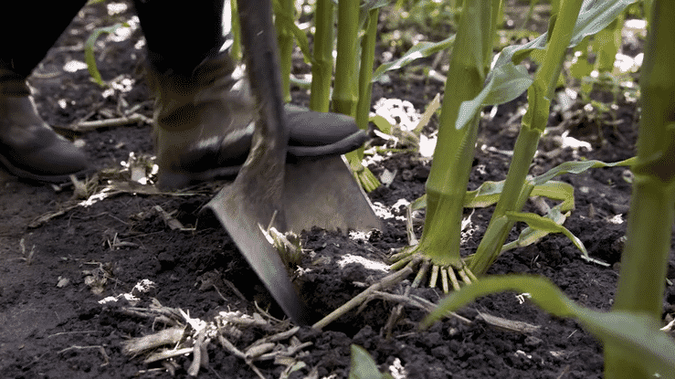 undefined-high (1).gif