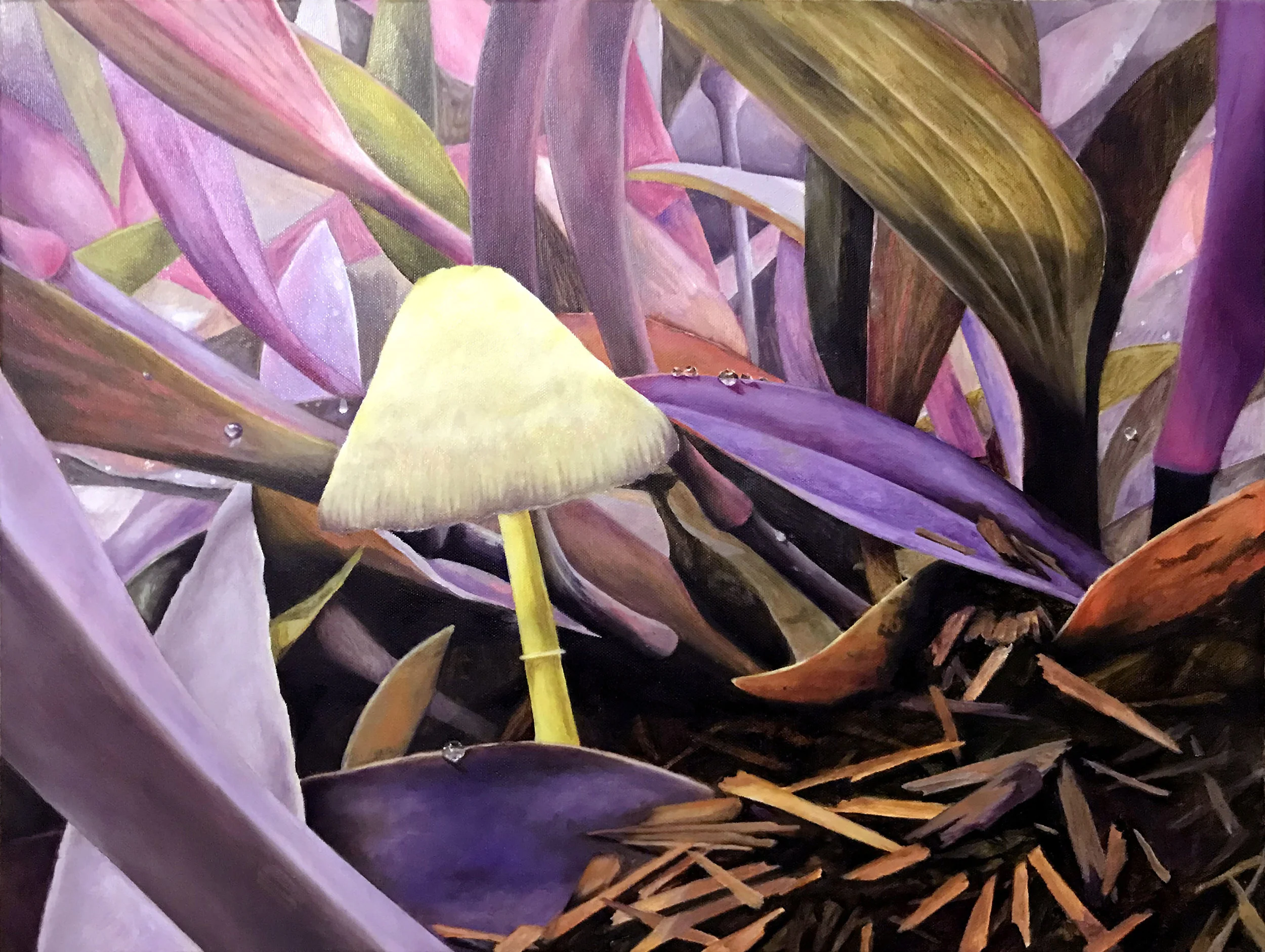 Mushroom, 18"x24", Oil on Canvas