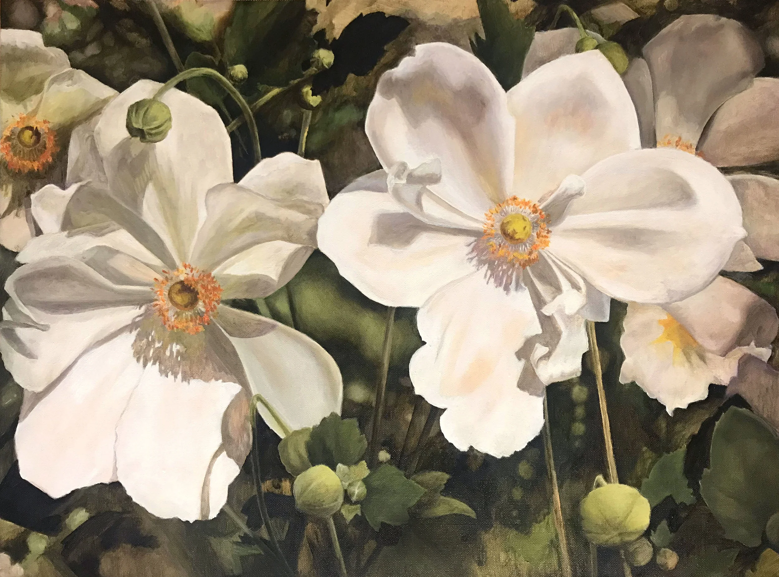 anemone.jpg