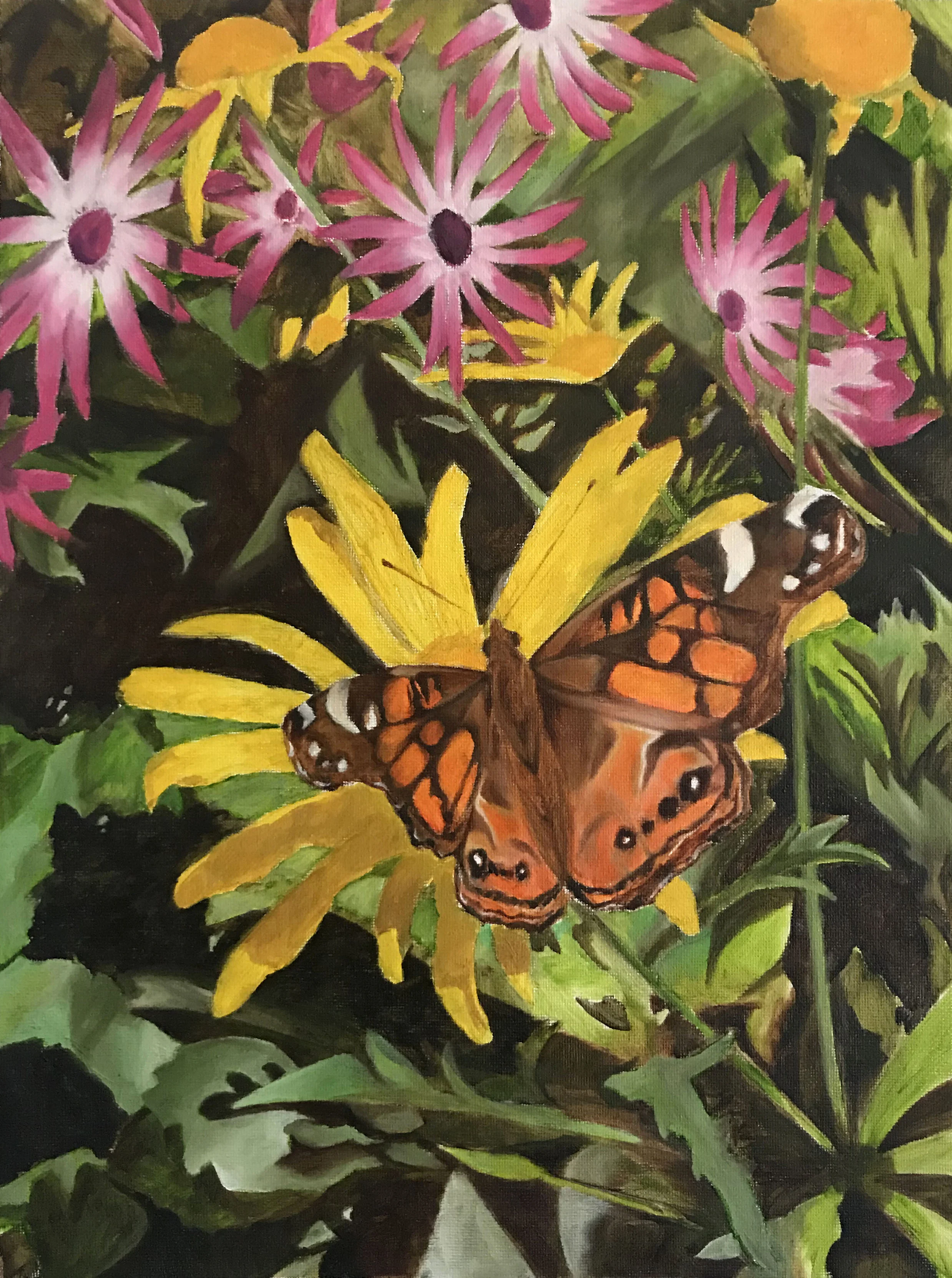 butterfly.jpg