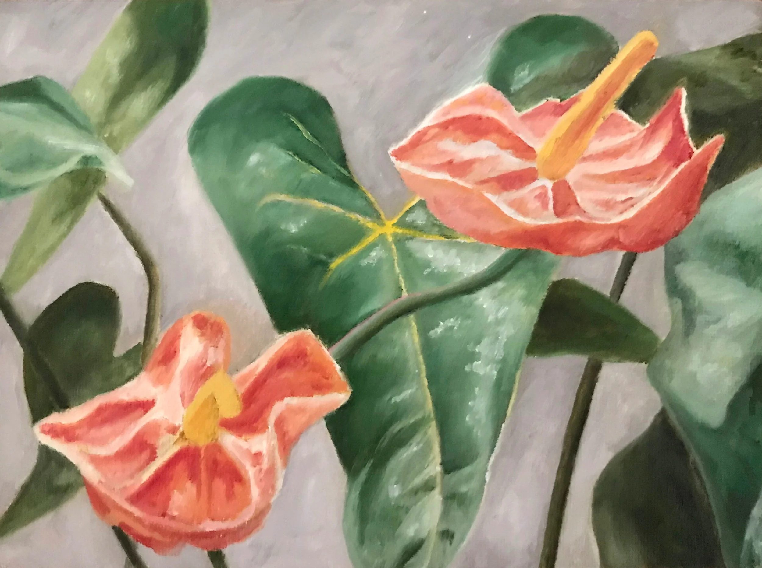 anthurium.jpg