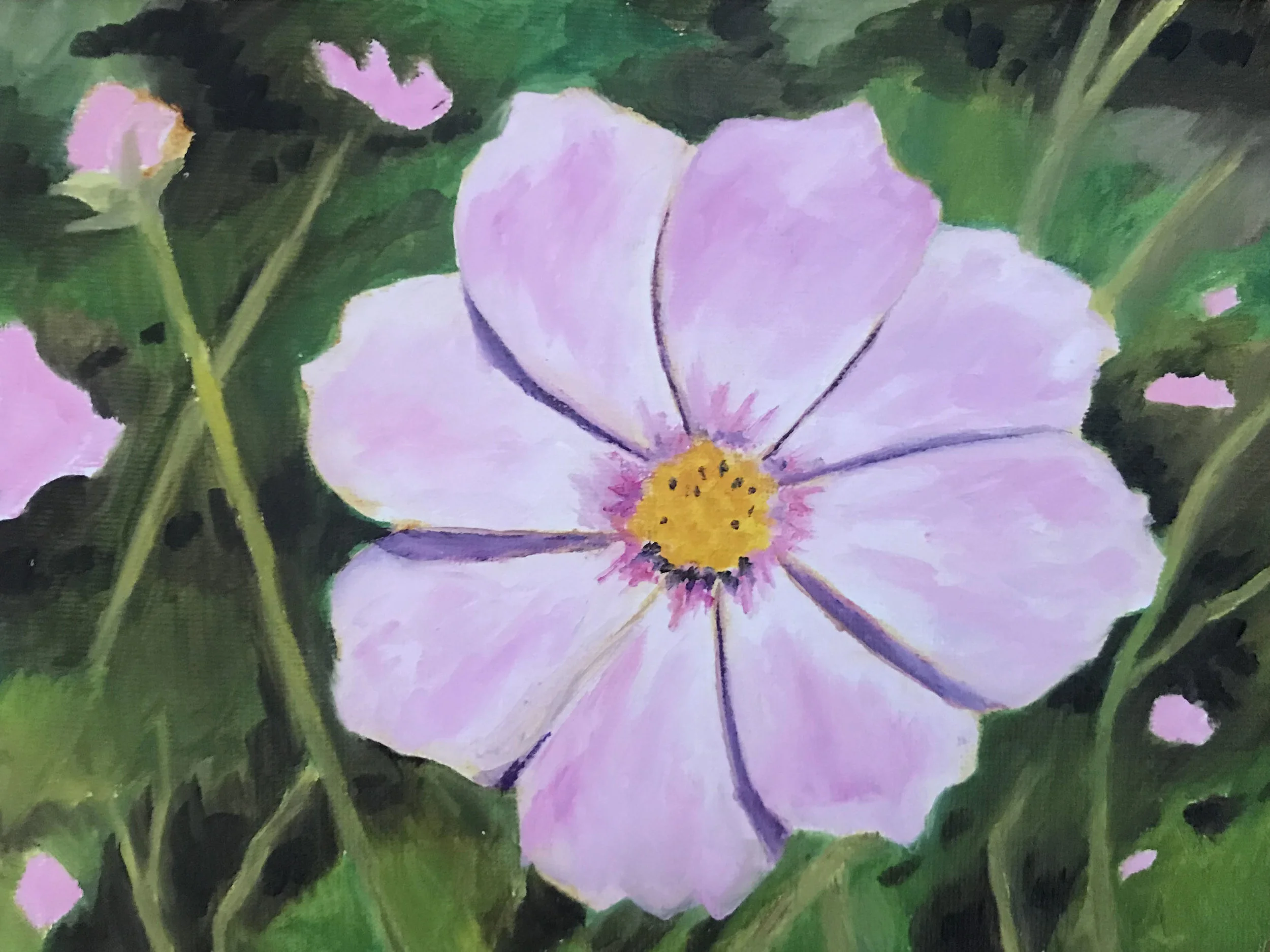 cosmos 3.jpg