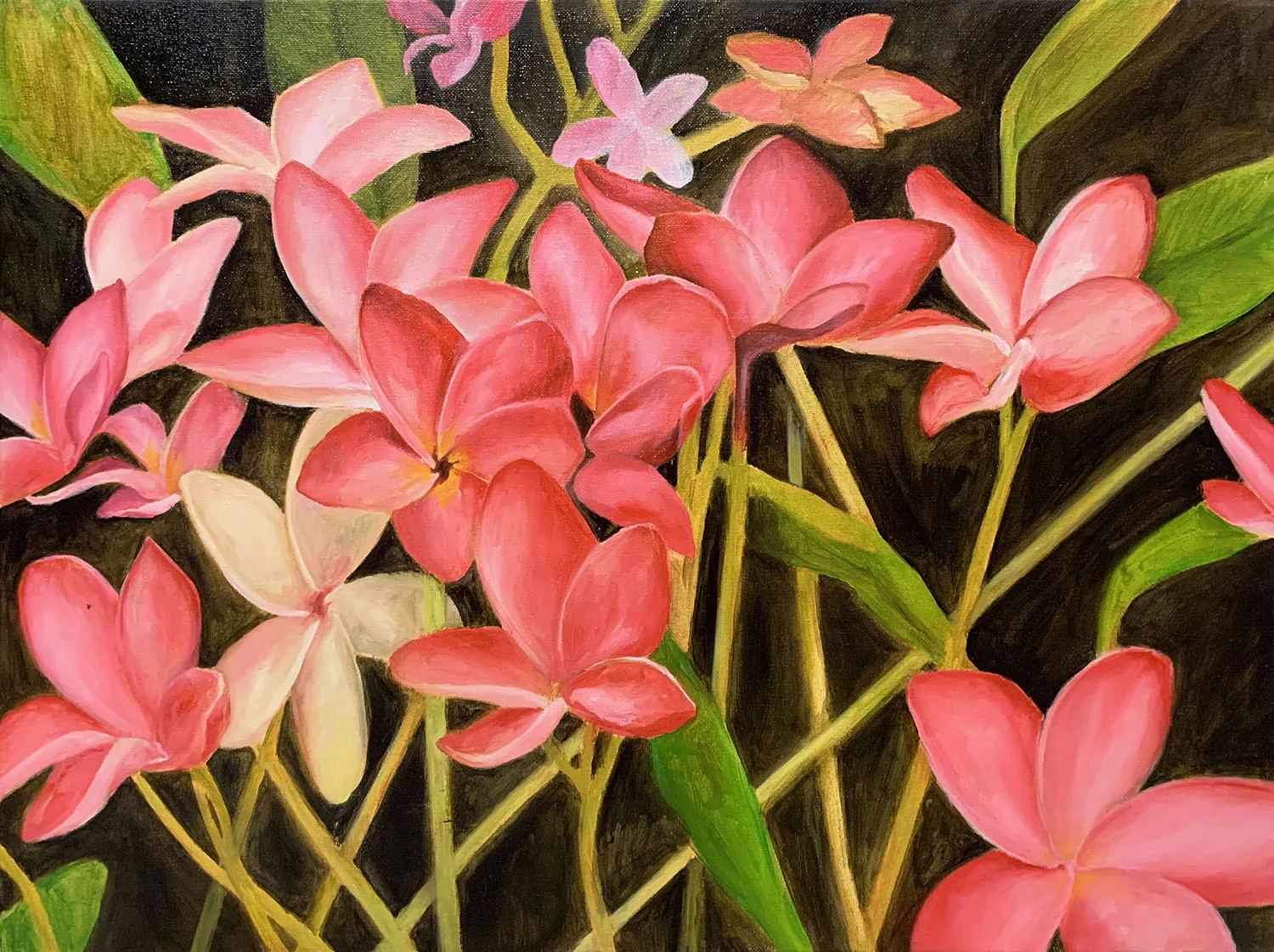 PLUMERIA, 18"x24", OIL ON CANVAS