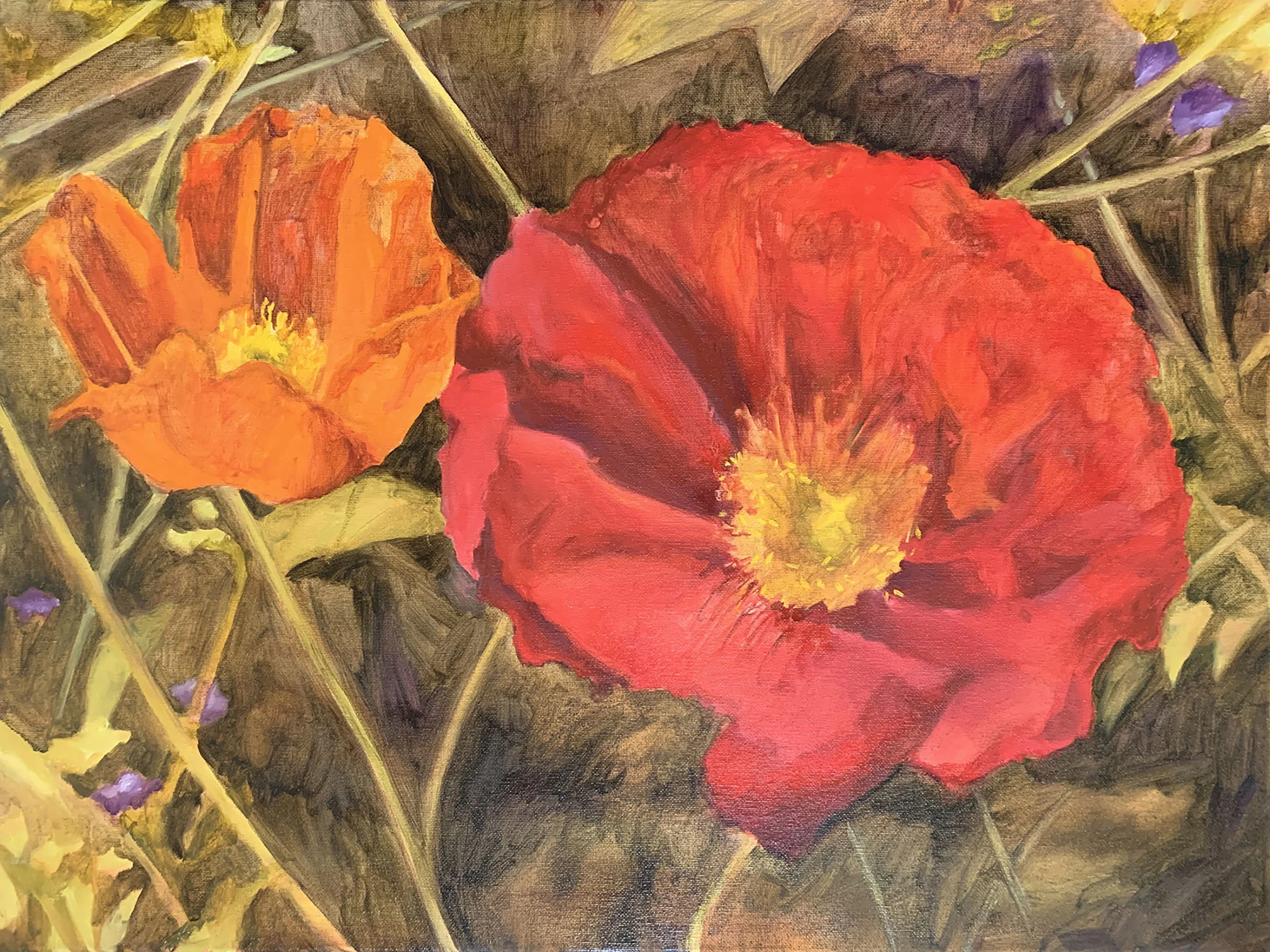 POPPIES, 18"X24", OIL ON CANVAS