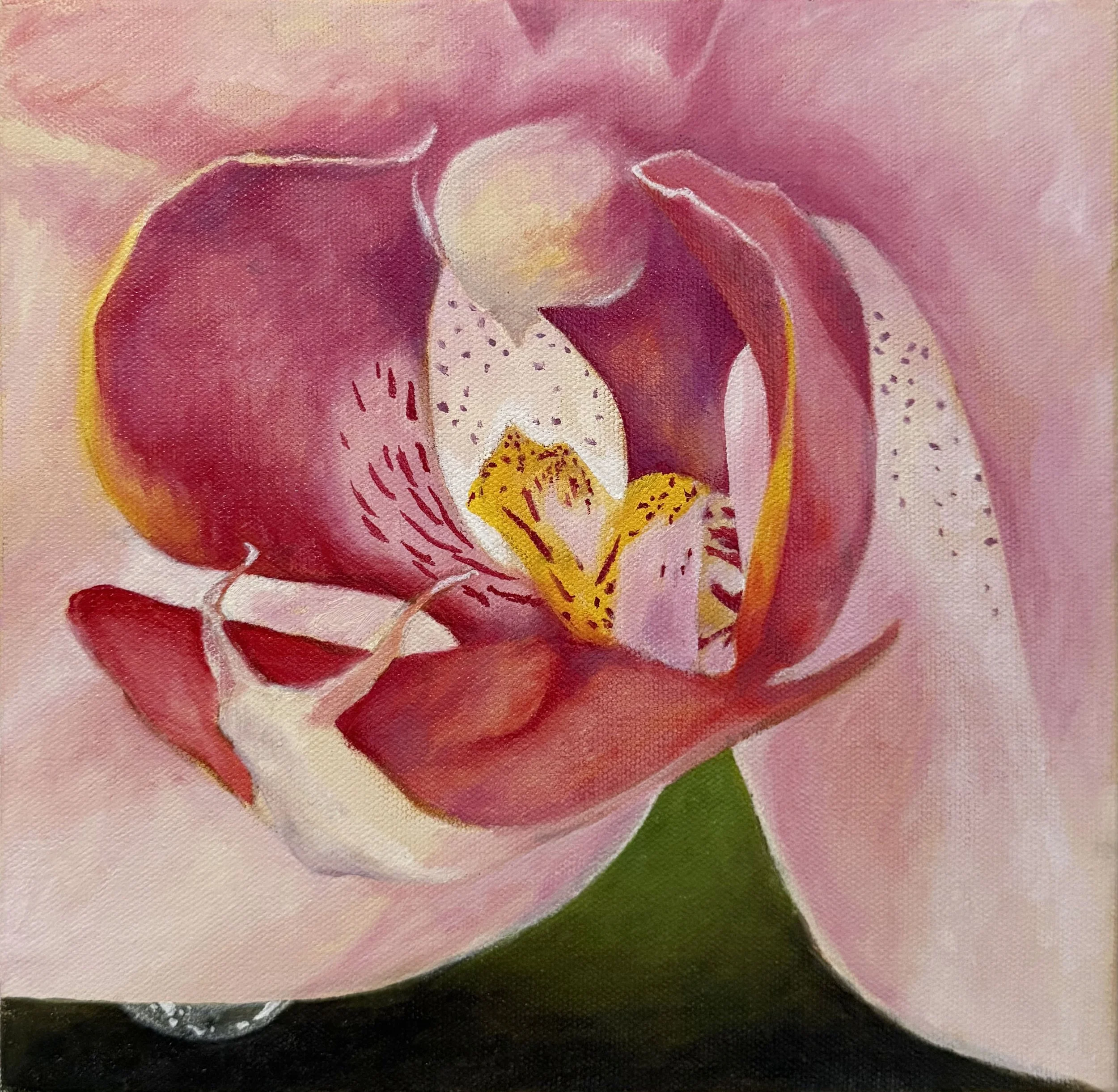 Orchid 4, 9"x9", 2025